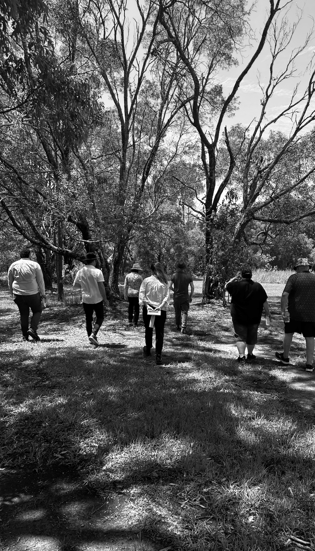 Ormeau Community Centre