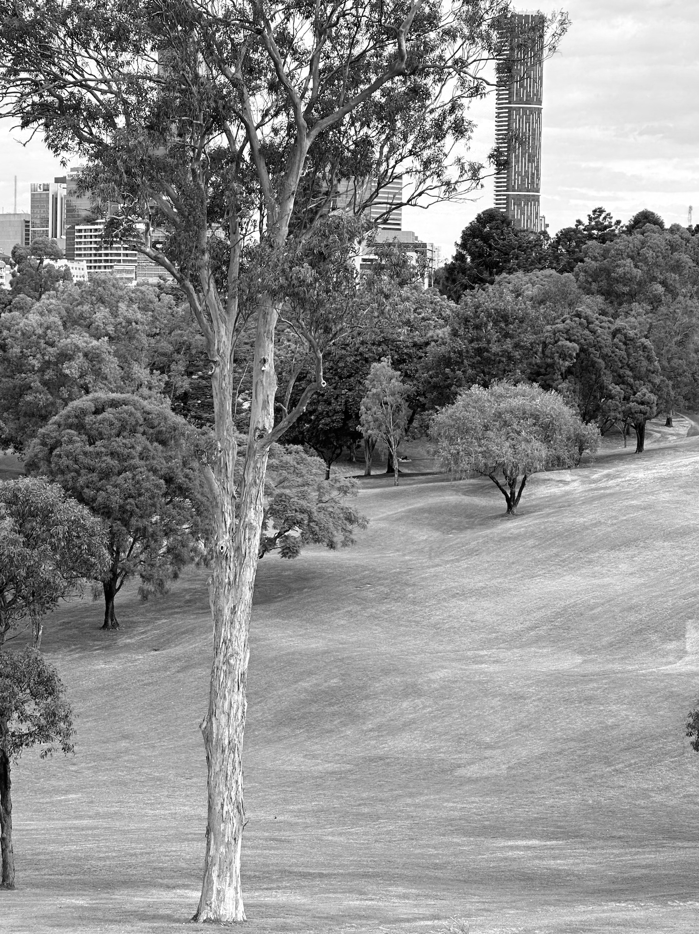 Barrambin Victoria Park