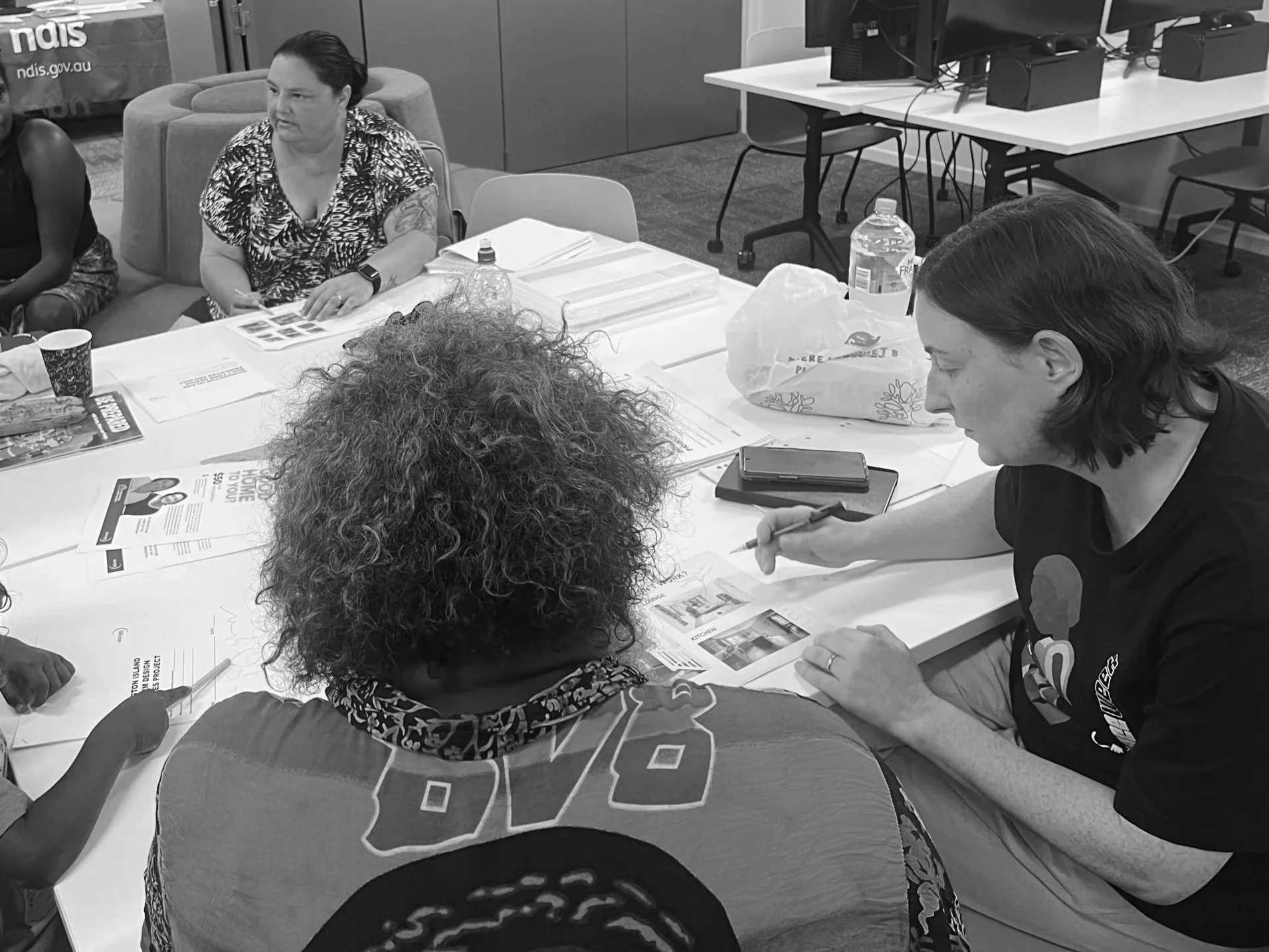 Mornington Island Built Form Design Principles