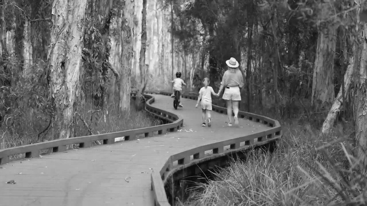 Coombabah Lakelands Conservation Area