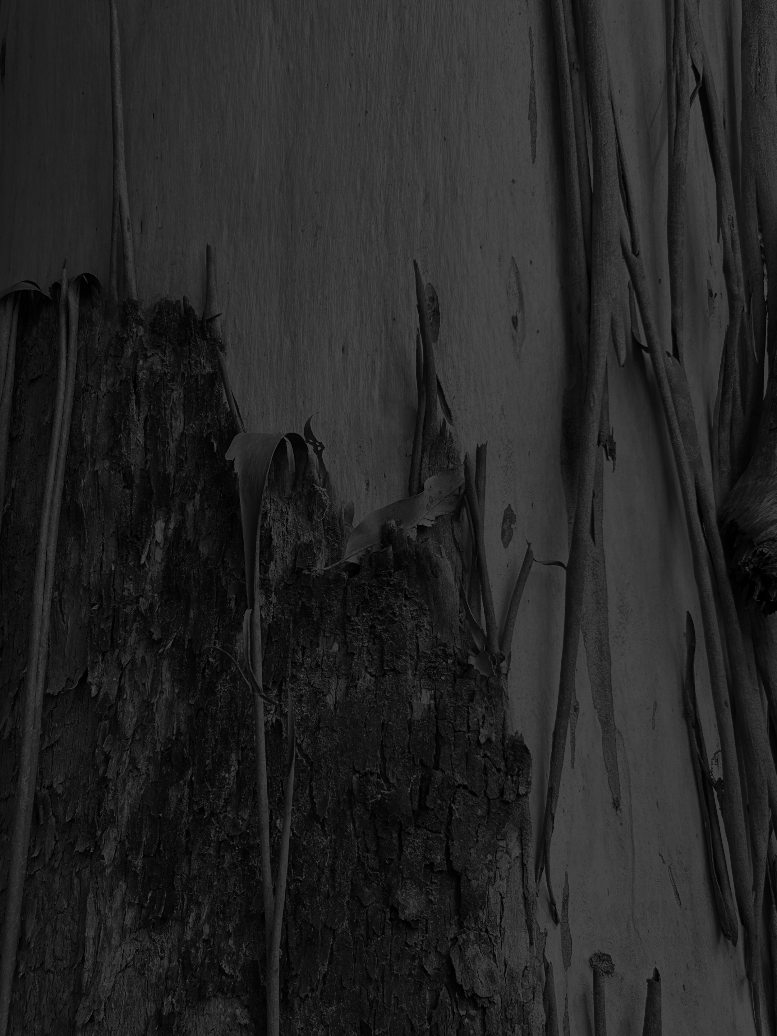 Queensland First Nations Housing Design Guidelines