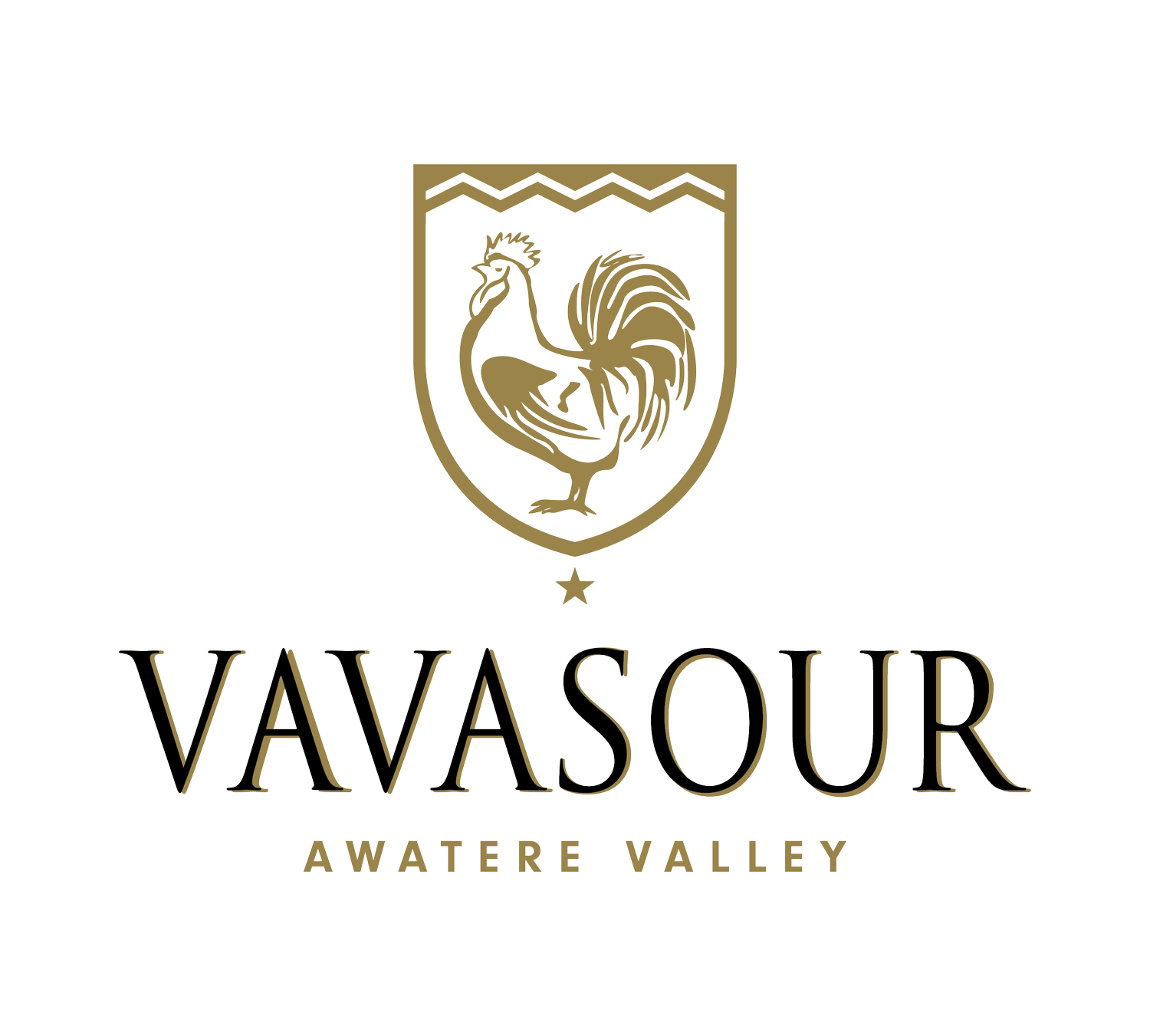 Vavasour