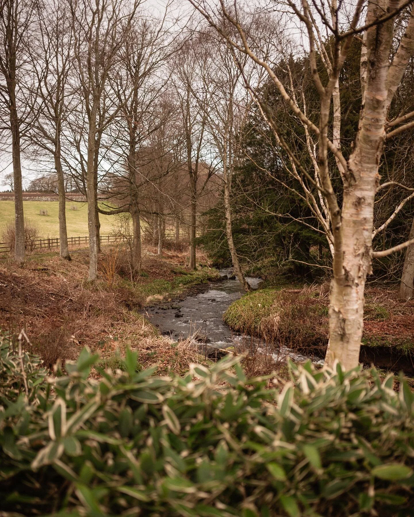 Luxury Holiday Homes In Scotland Balcarres Estate
