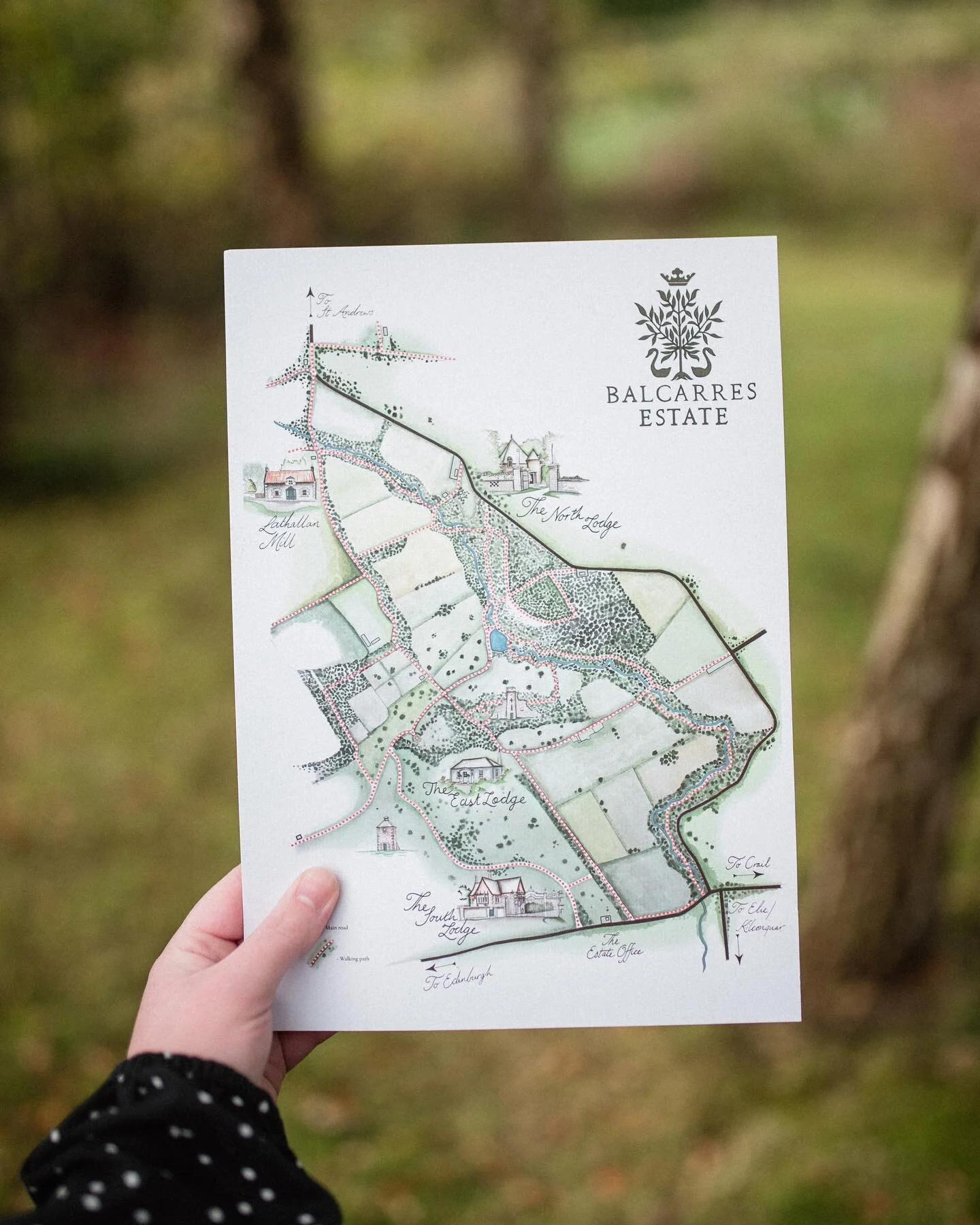 Luxury Holiday Homes In Scotland Balcarres Estate