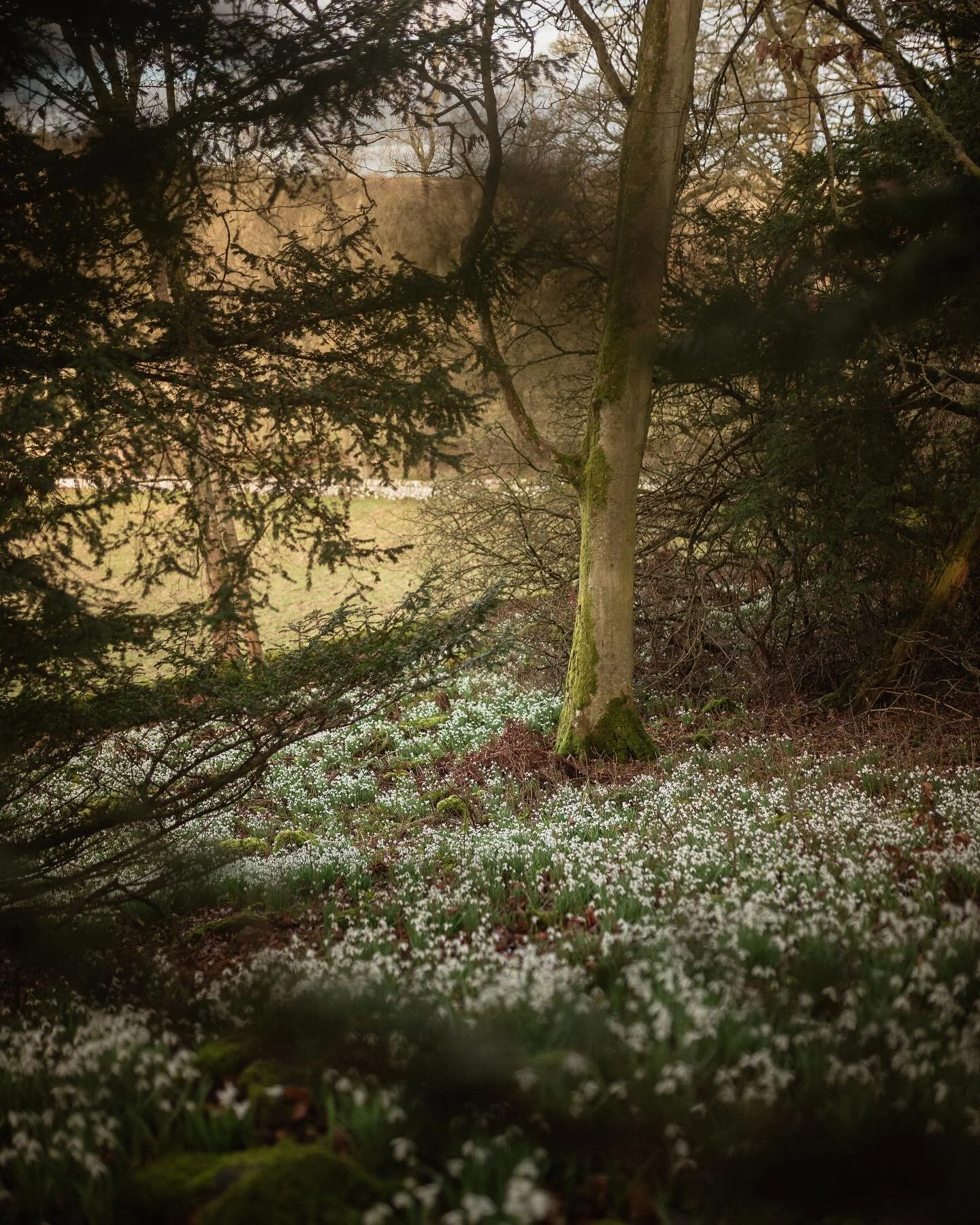 Luxury Holiday Homes In Scotland Balcarres Estate