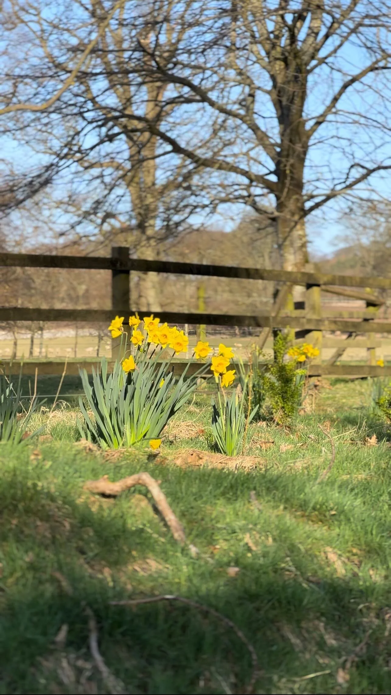 Luxury Holiday Homes In Scotland Balcarres Estate