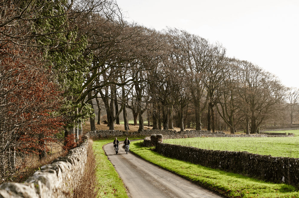 Luxury Holiday Homes In Scotland Balcarres Estate