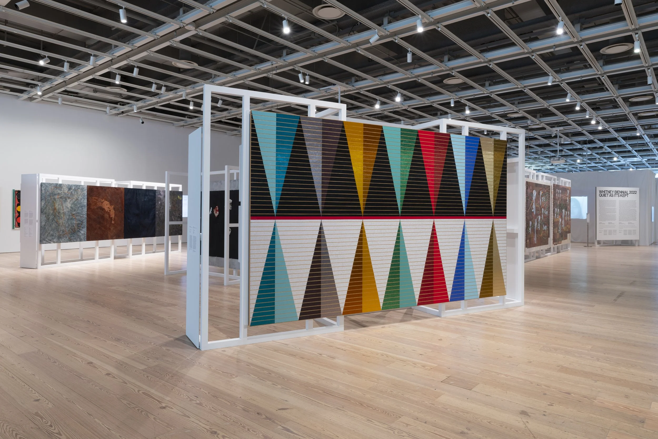 Dyani White Hawk24.jpg