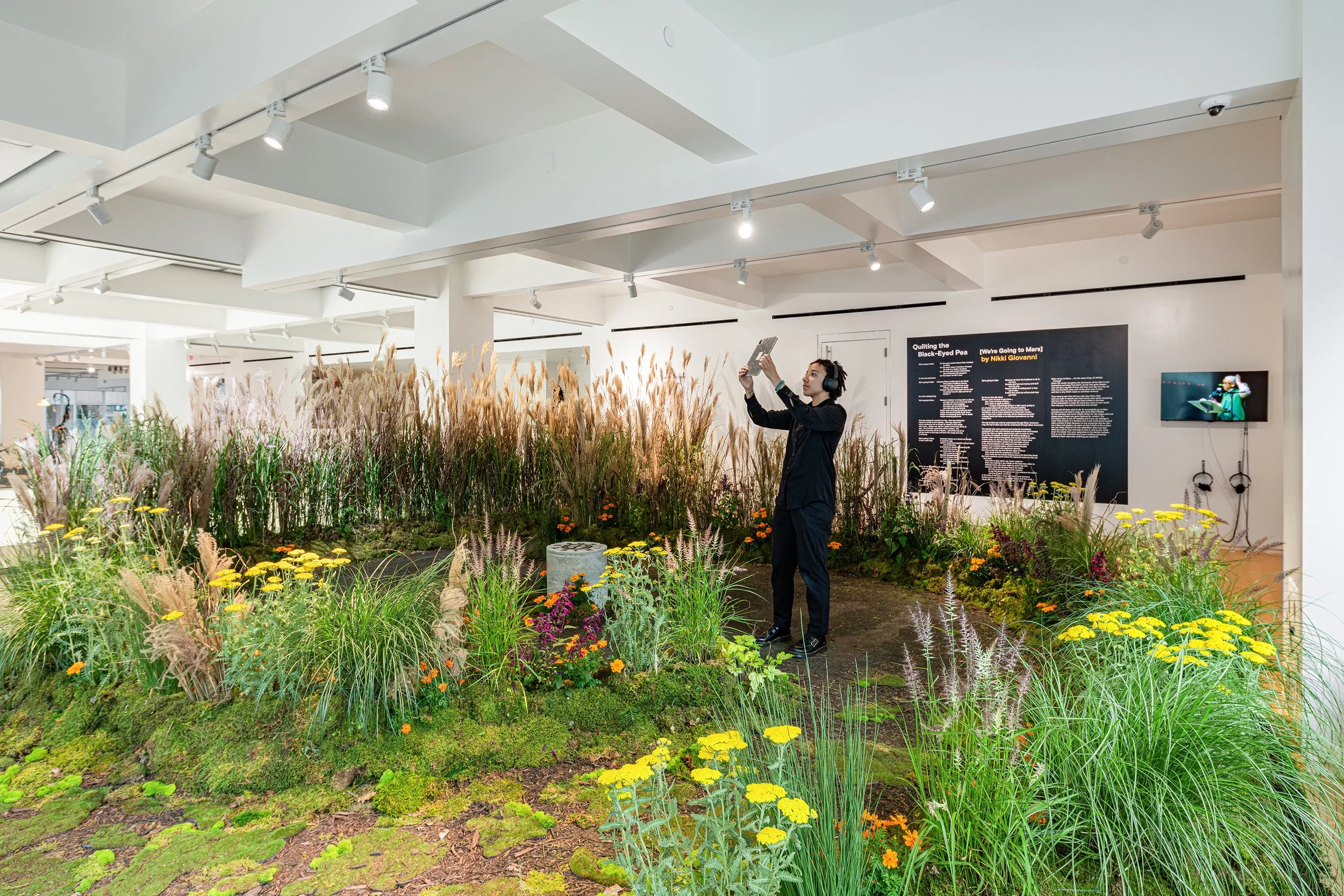 Tribeca Immersive 2.jpg