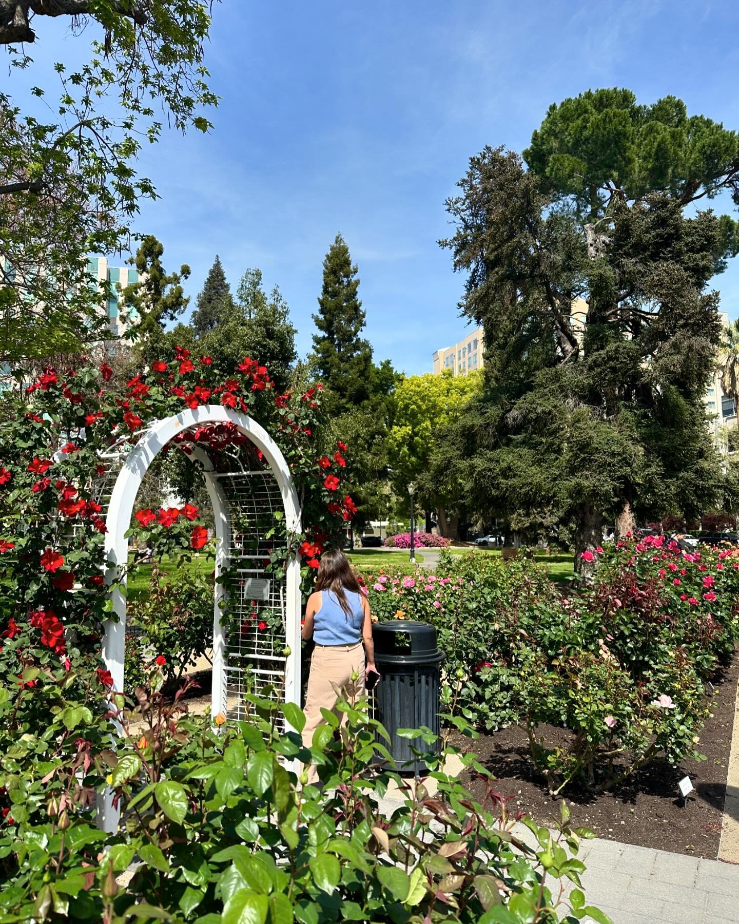 Happy Earth Day from beautiful Sacramento 🌎💚💙