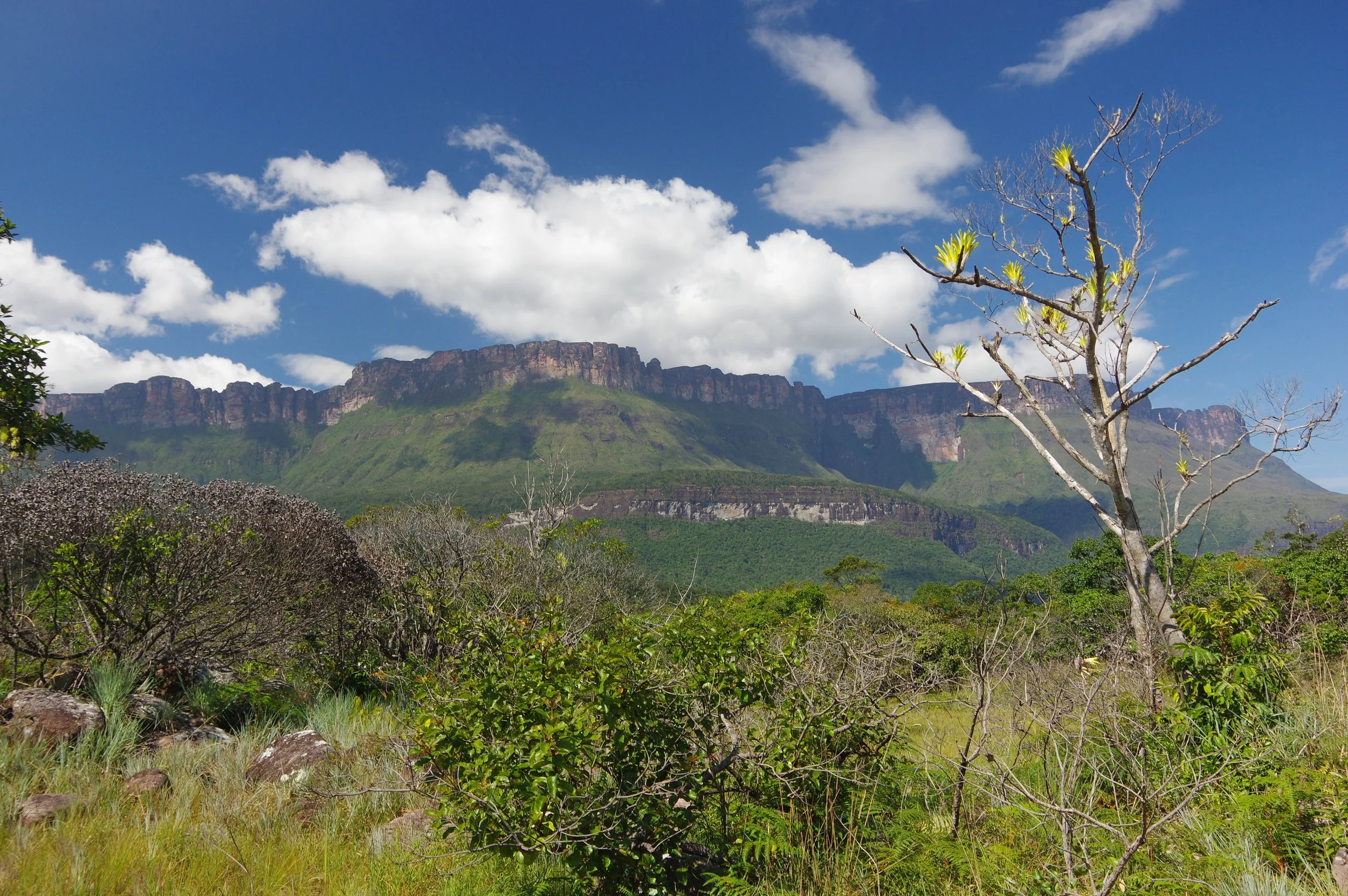 Auyán Tepui, Venezuela