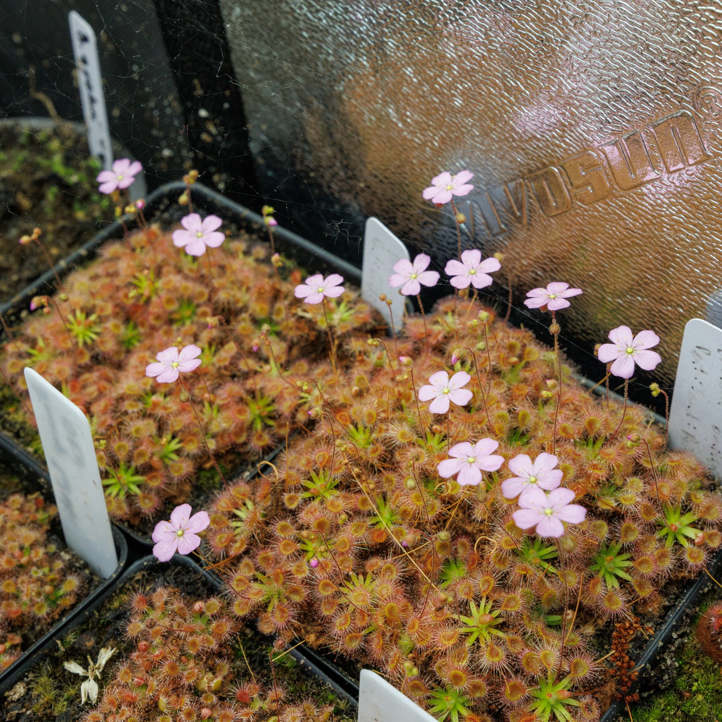 IMG_9726.jpg