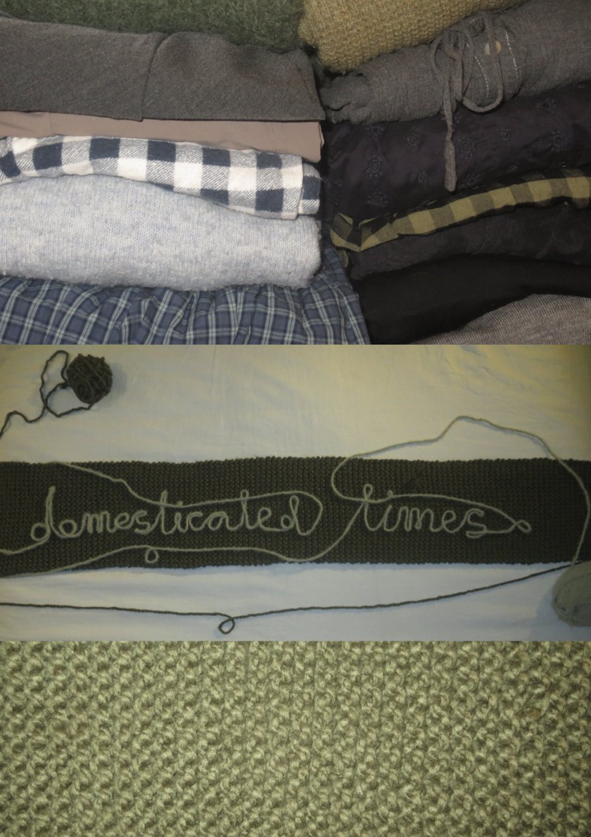 Domesticated Times (___ Times 4).1.jpeg