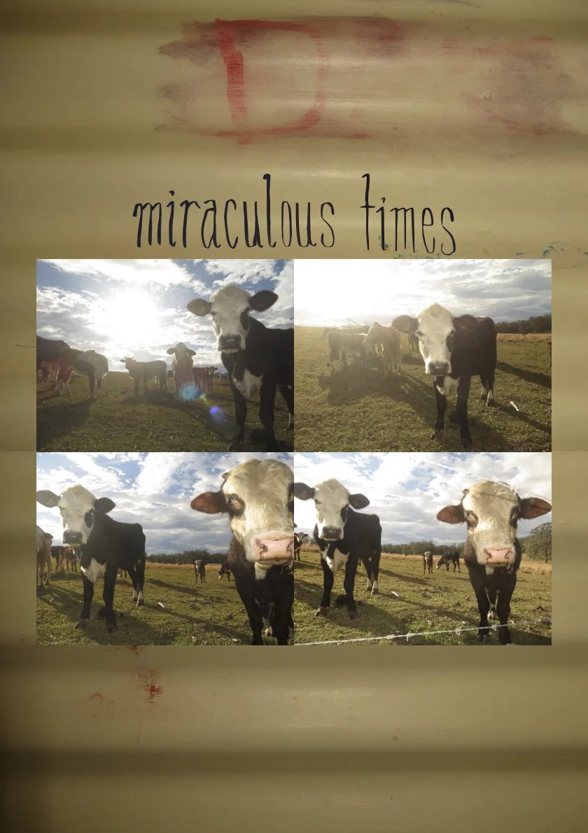 Miraculous Times (7th).1.jpeg