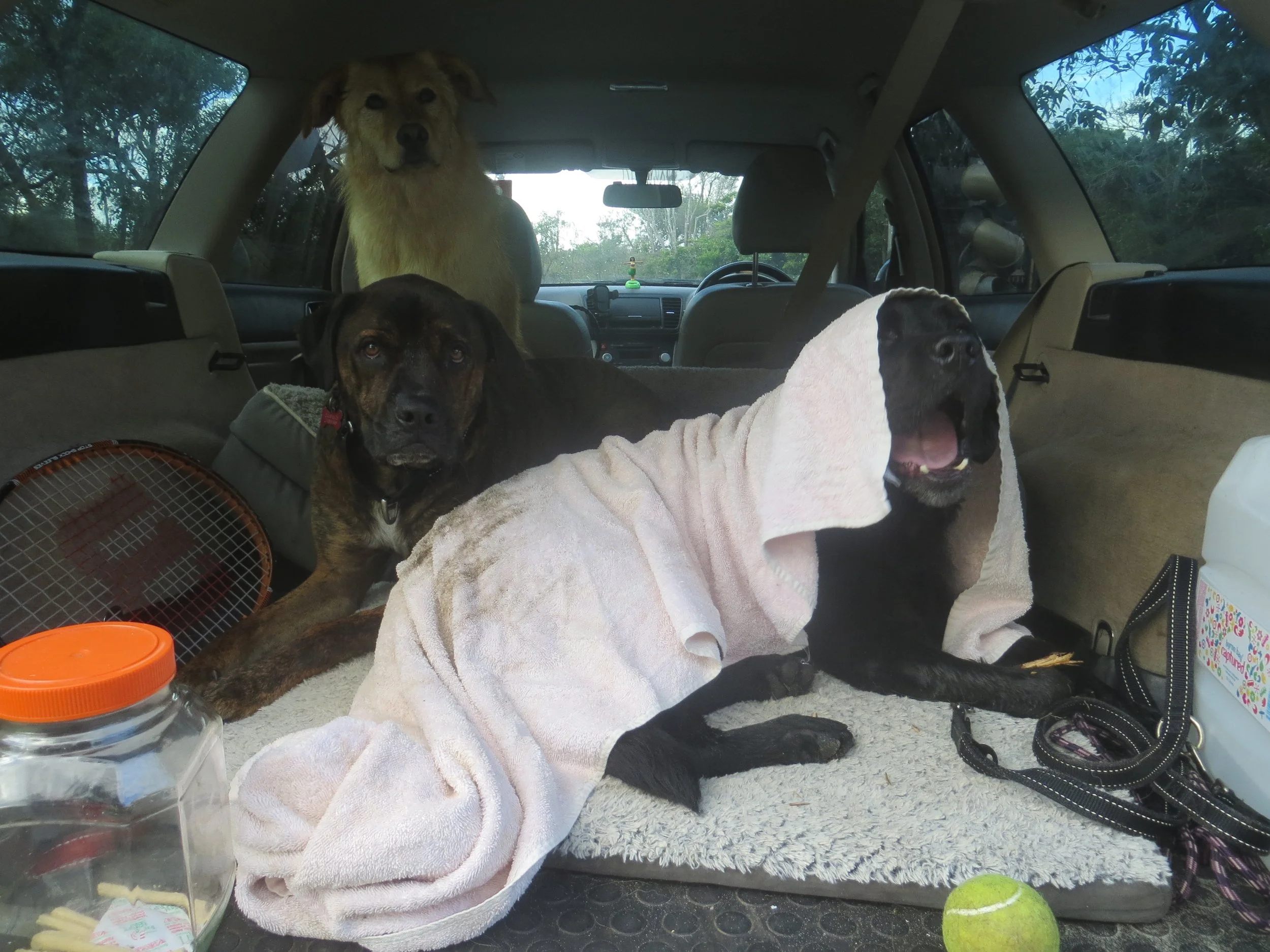 IMG_1614.JPG