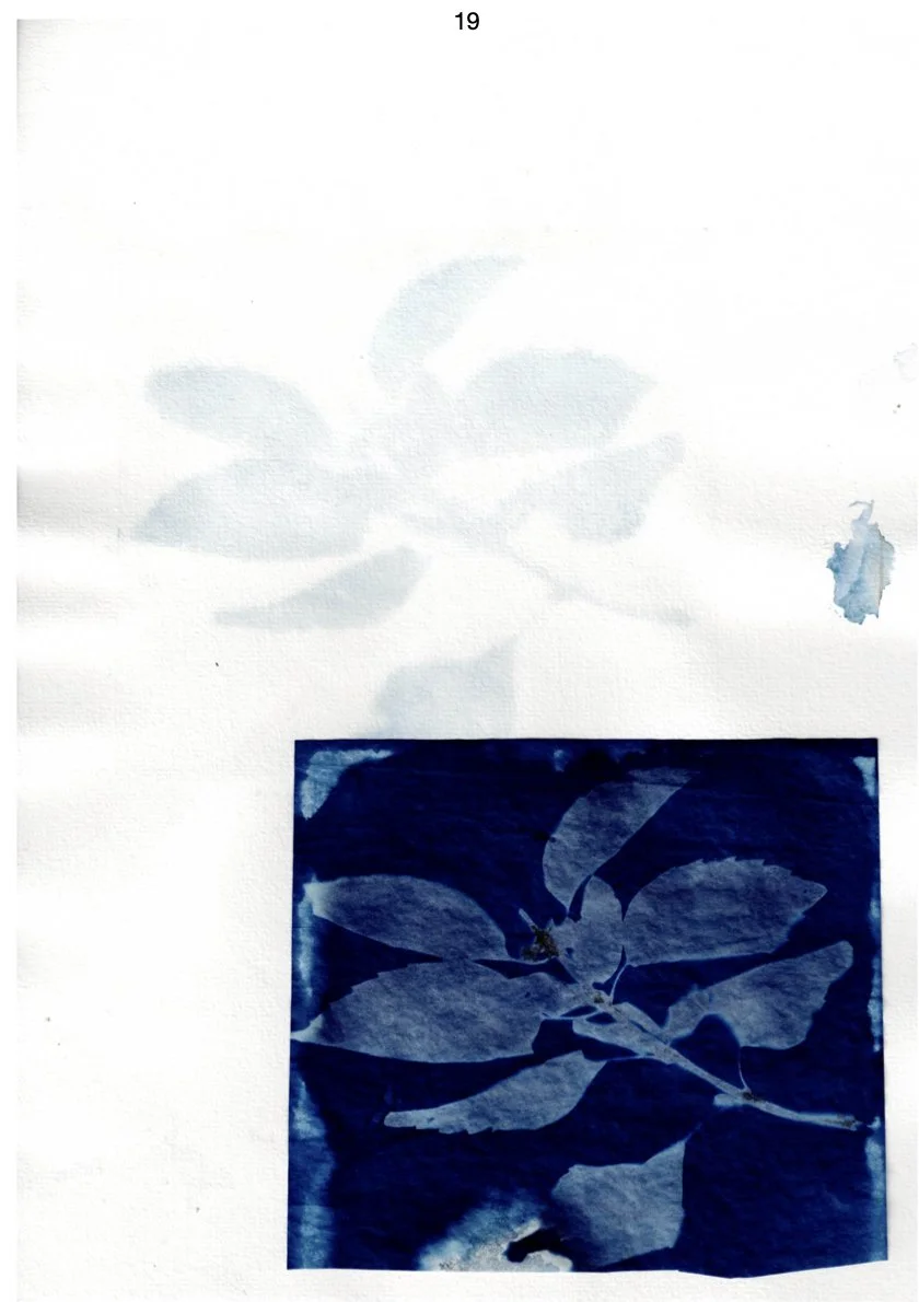 First Times (___ Times 6th Edition).20.jpeg