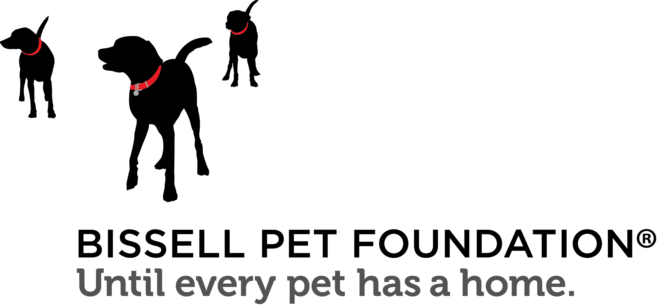 BPF Logo.png