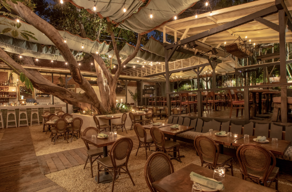 Screen Shot 2023-01-11 at 11.11.45 PM.png