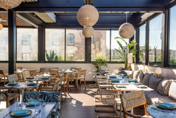 Screen Shot 2023-01-11 at 11.14.54 PM.png