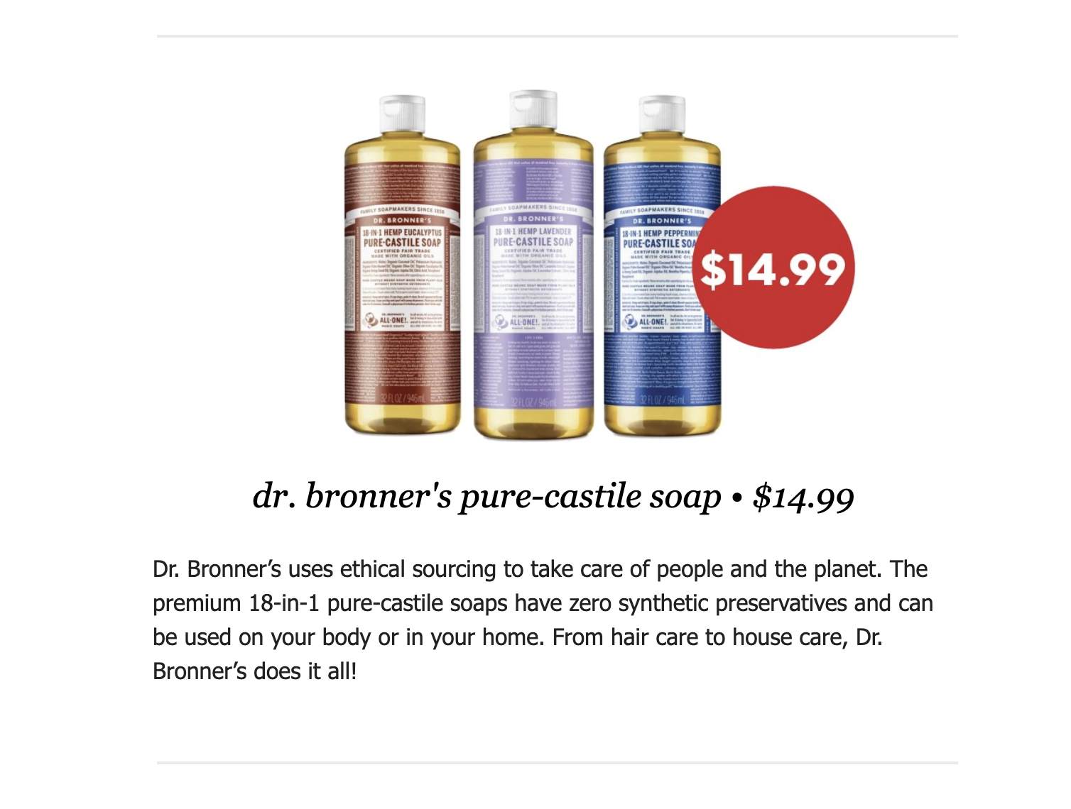 Screen Shot 2023-04-11 at 1.01.26 PM.png