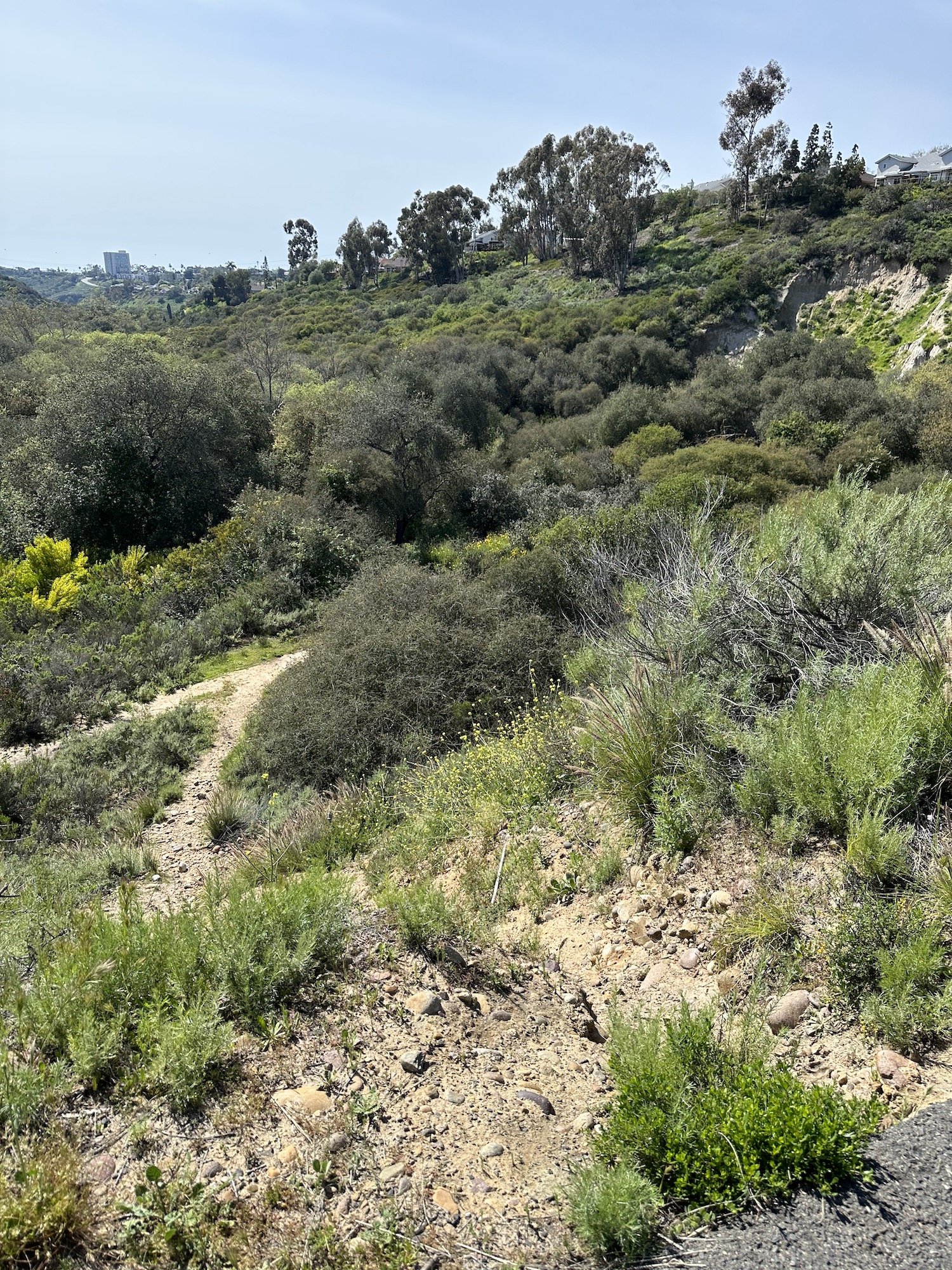 Trains & Trails Tecolote Canyon