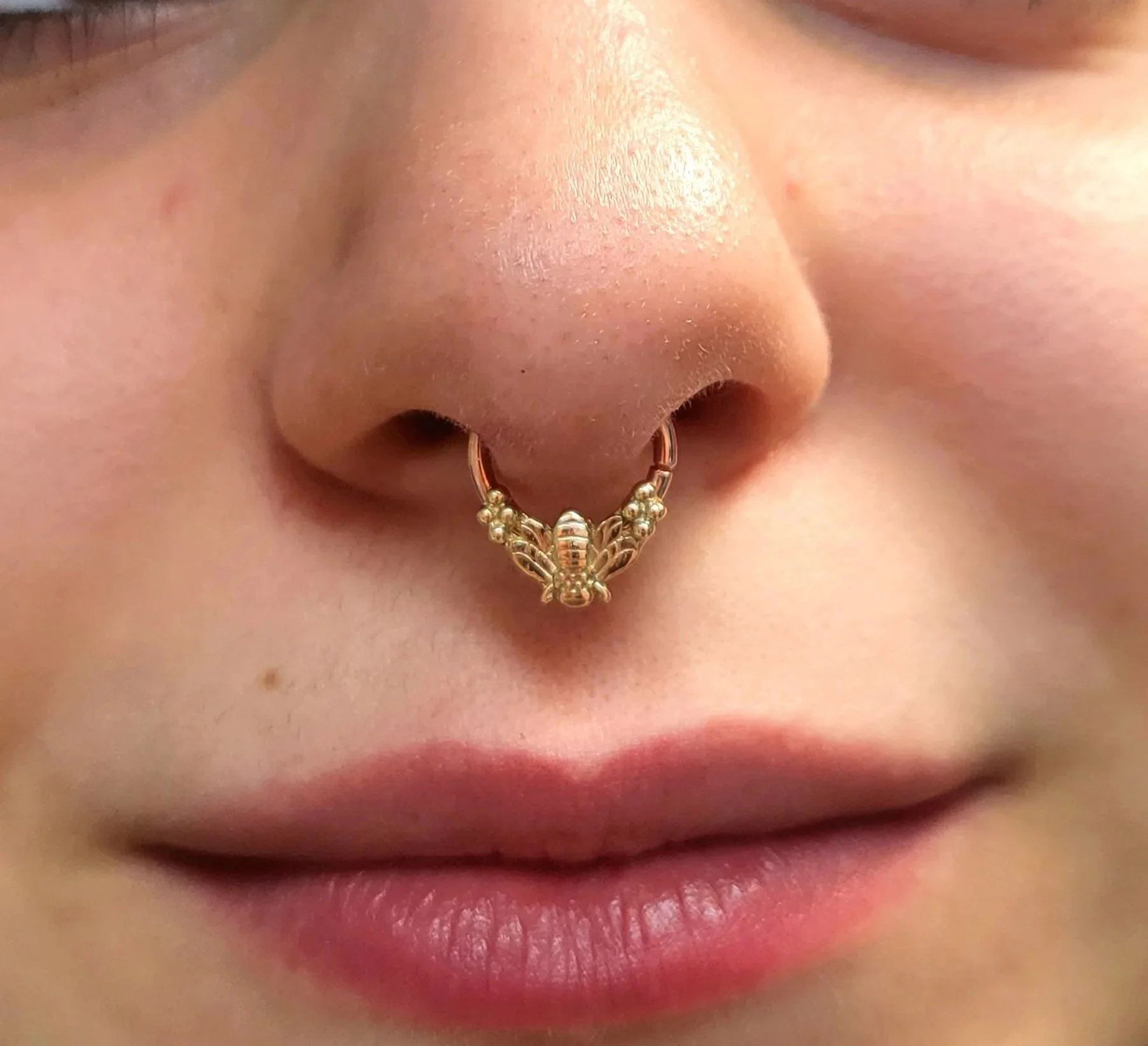 septum.jpg