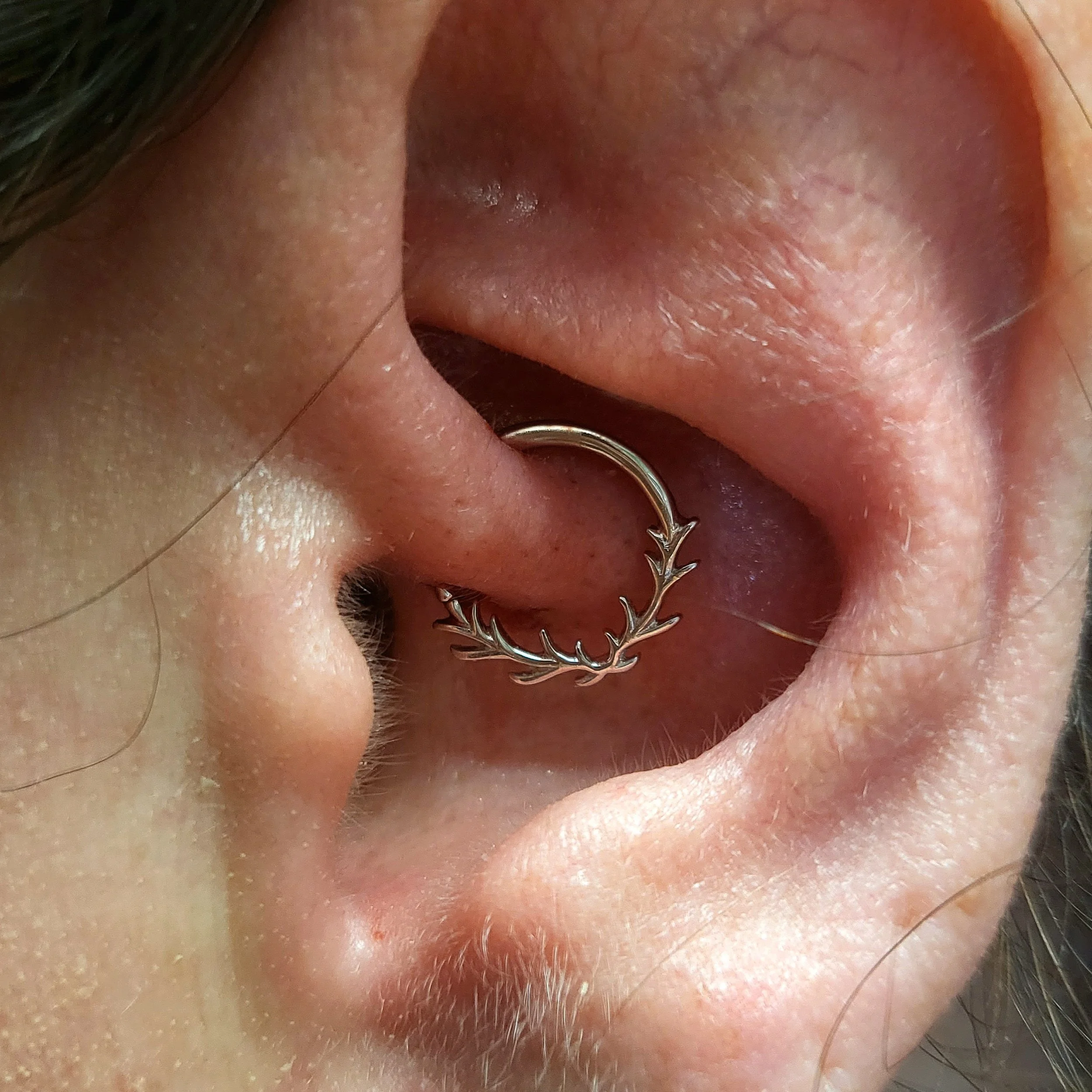 daith.jpg