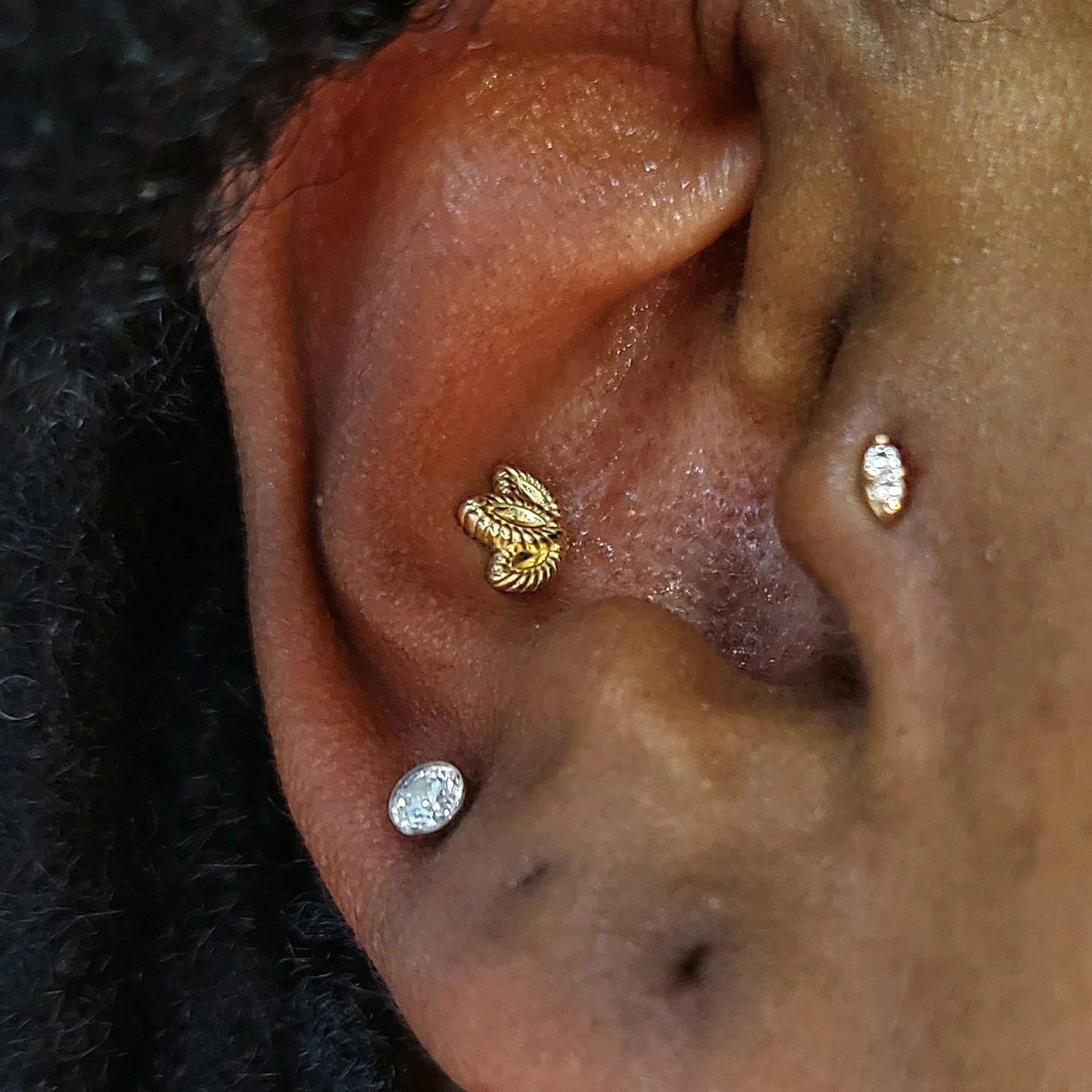 conch.jpg