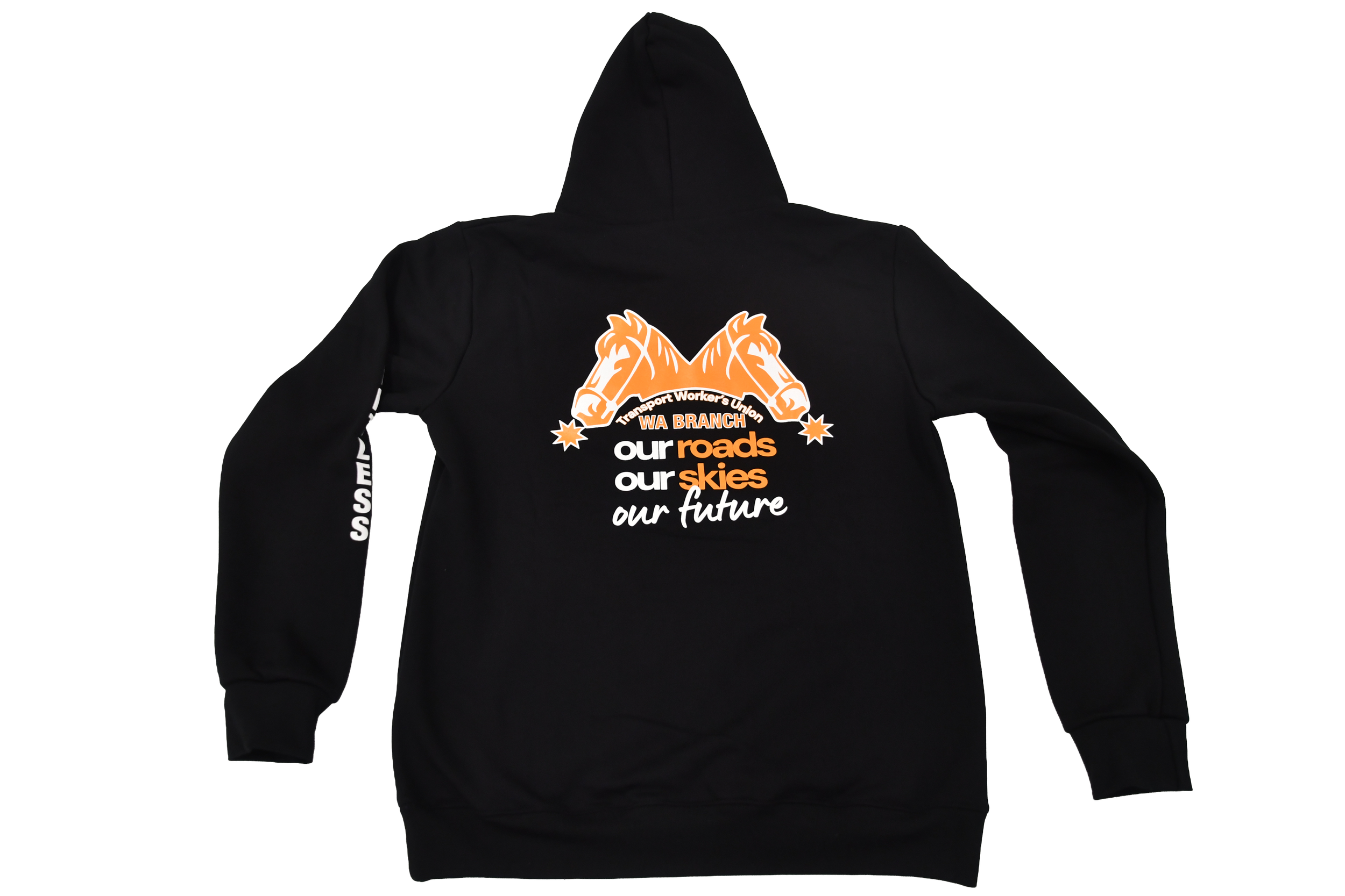 Hoodie back PT.png