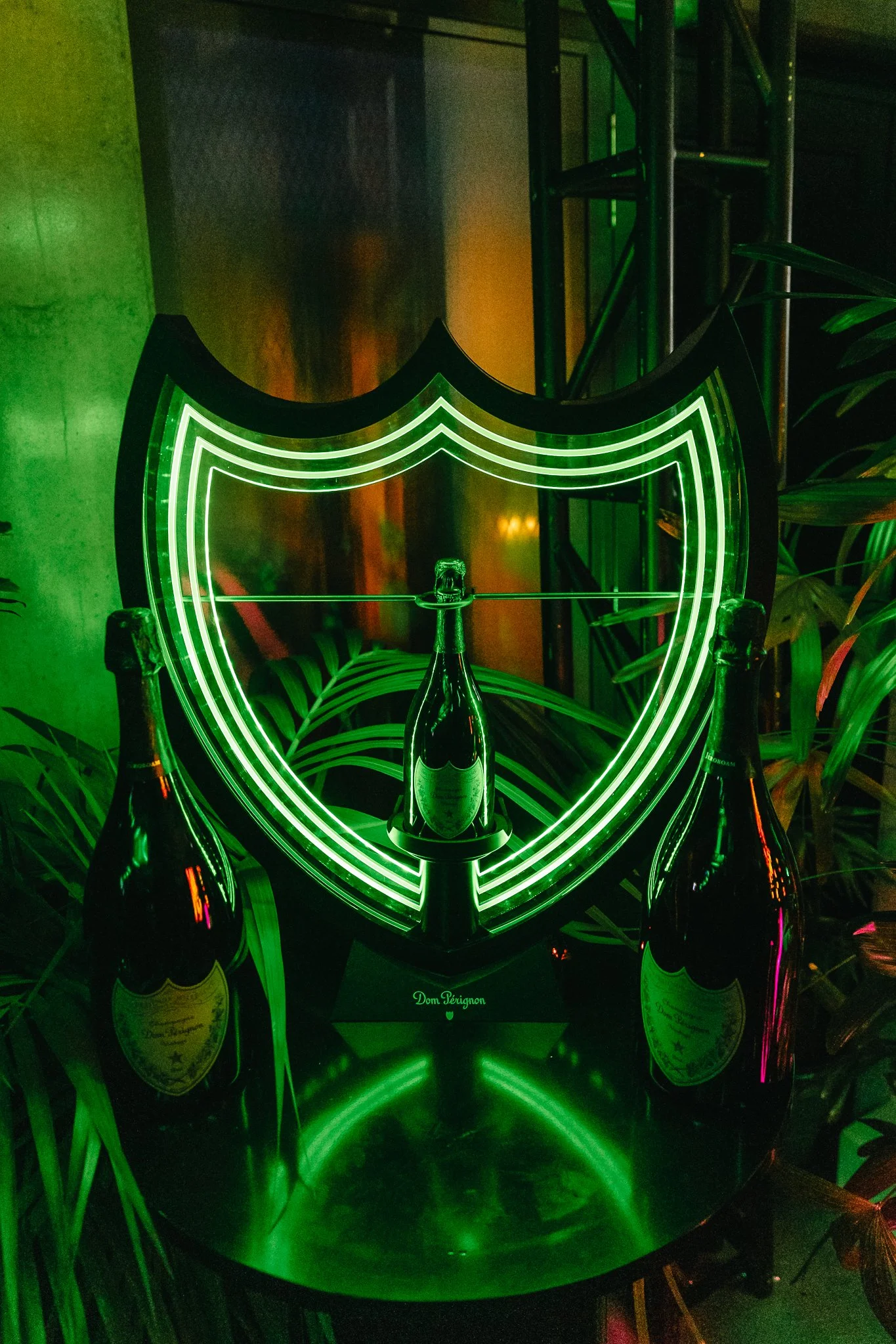 Copy of ALP_IMG-166.jpg