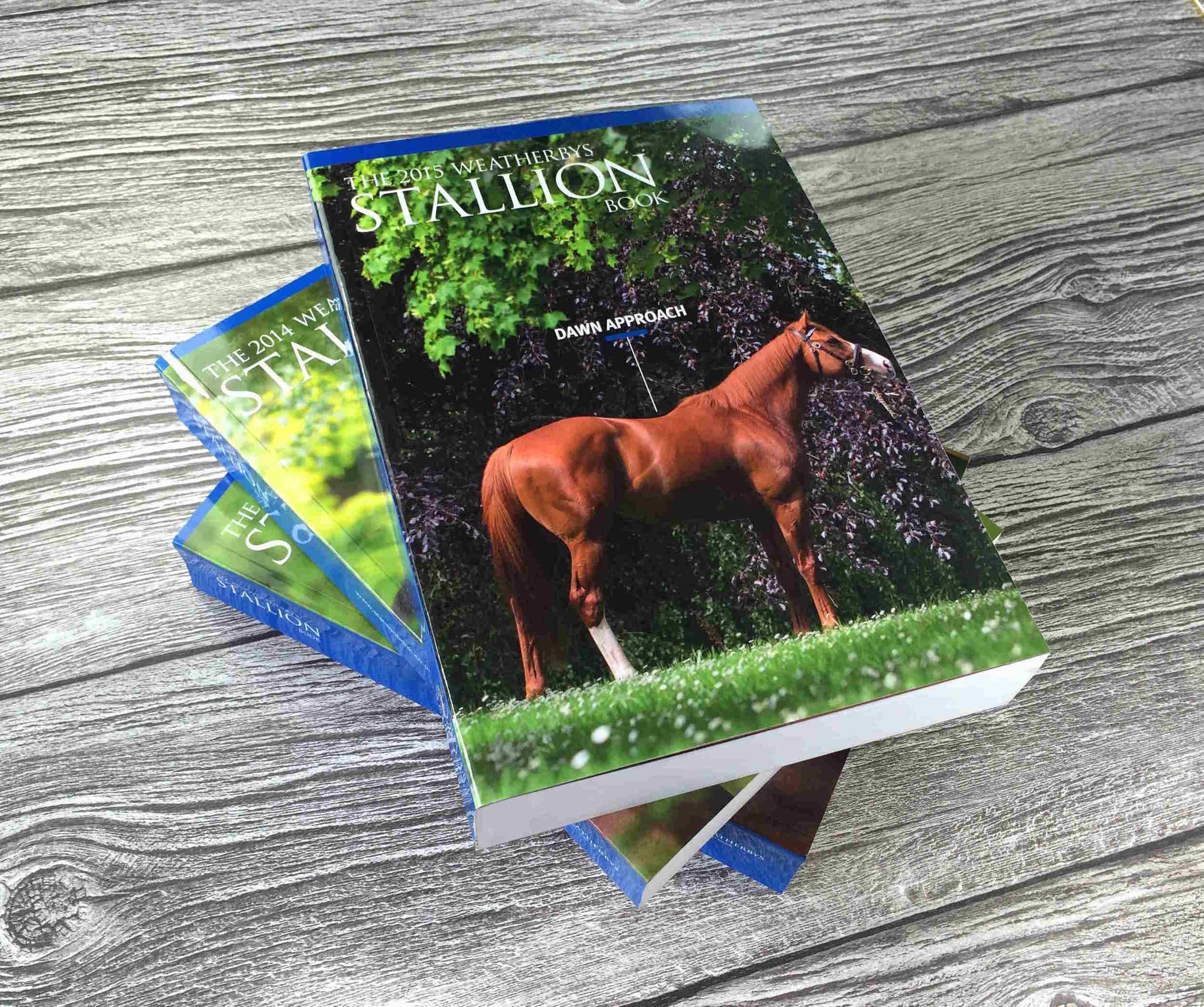 Thread sewn binding for long-lasting publications brochures midlands