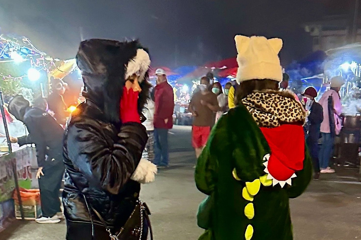 Thai tourists dressed up in animal onesies on top of Doi Inthanon.