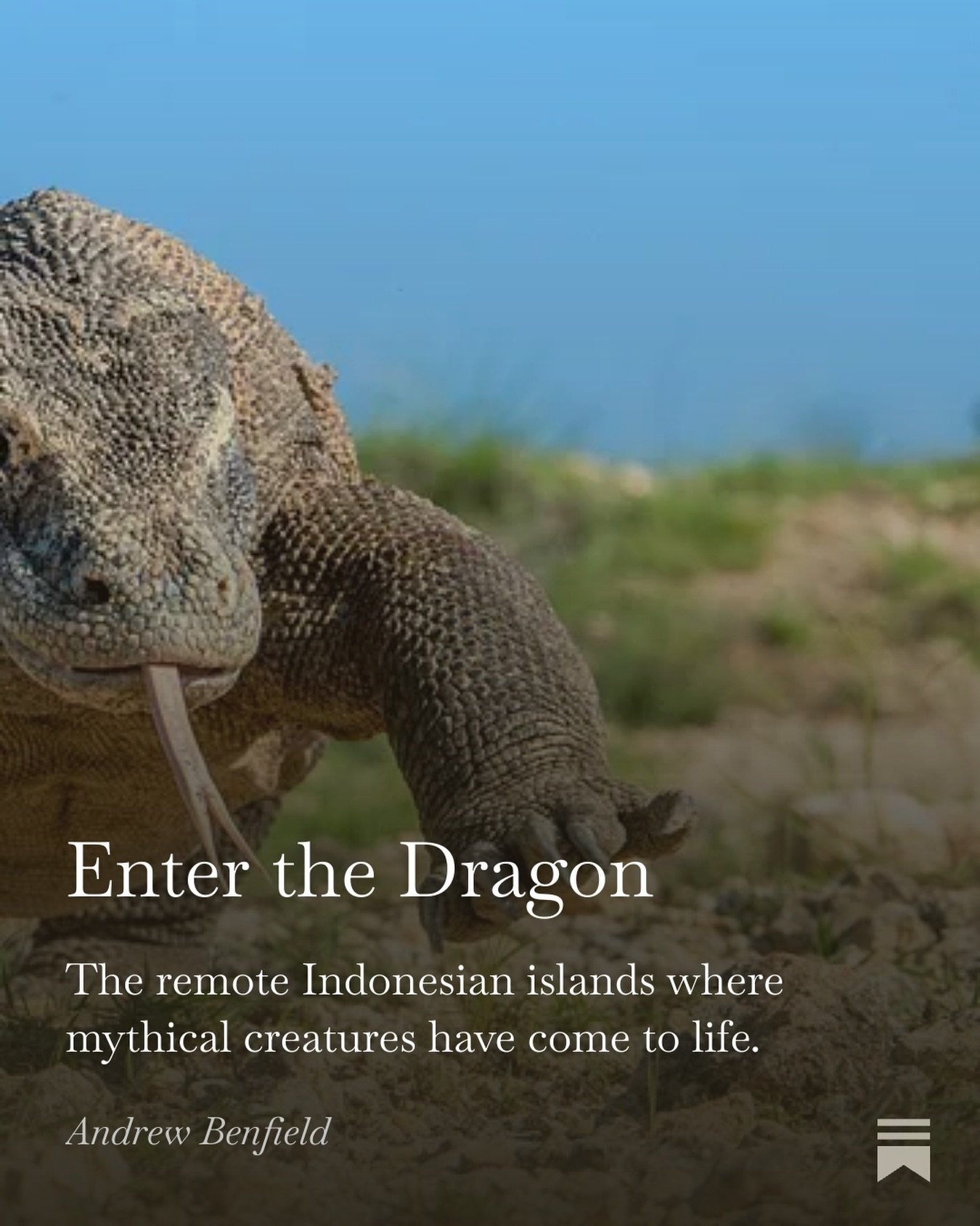 Out now on my Substack! 

Link in my bio above 👆

#indonesia #flores #komodo