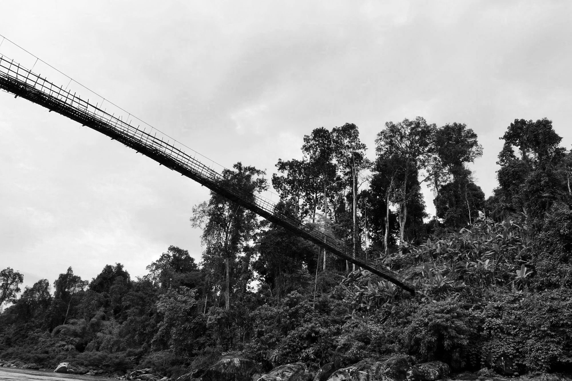 Long bamboo bridge over a river.