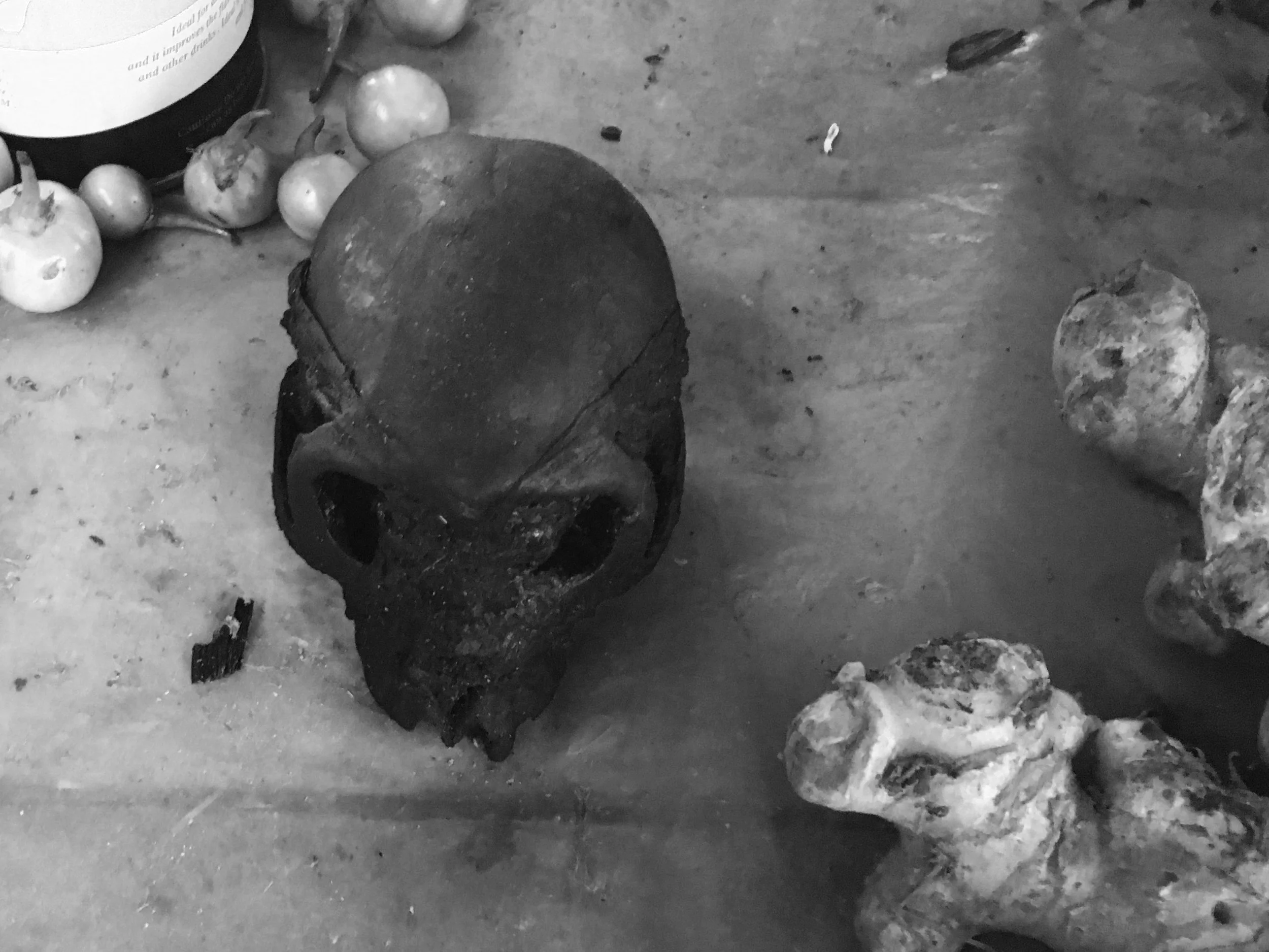 Gibbon skull on display in Putao market.