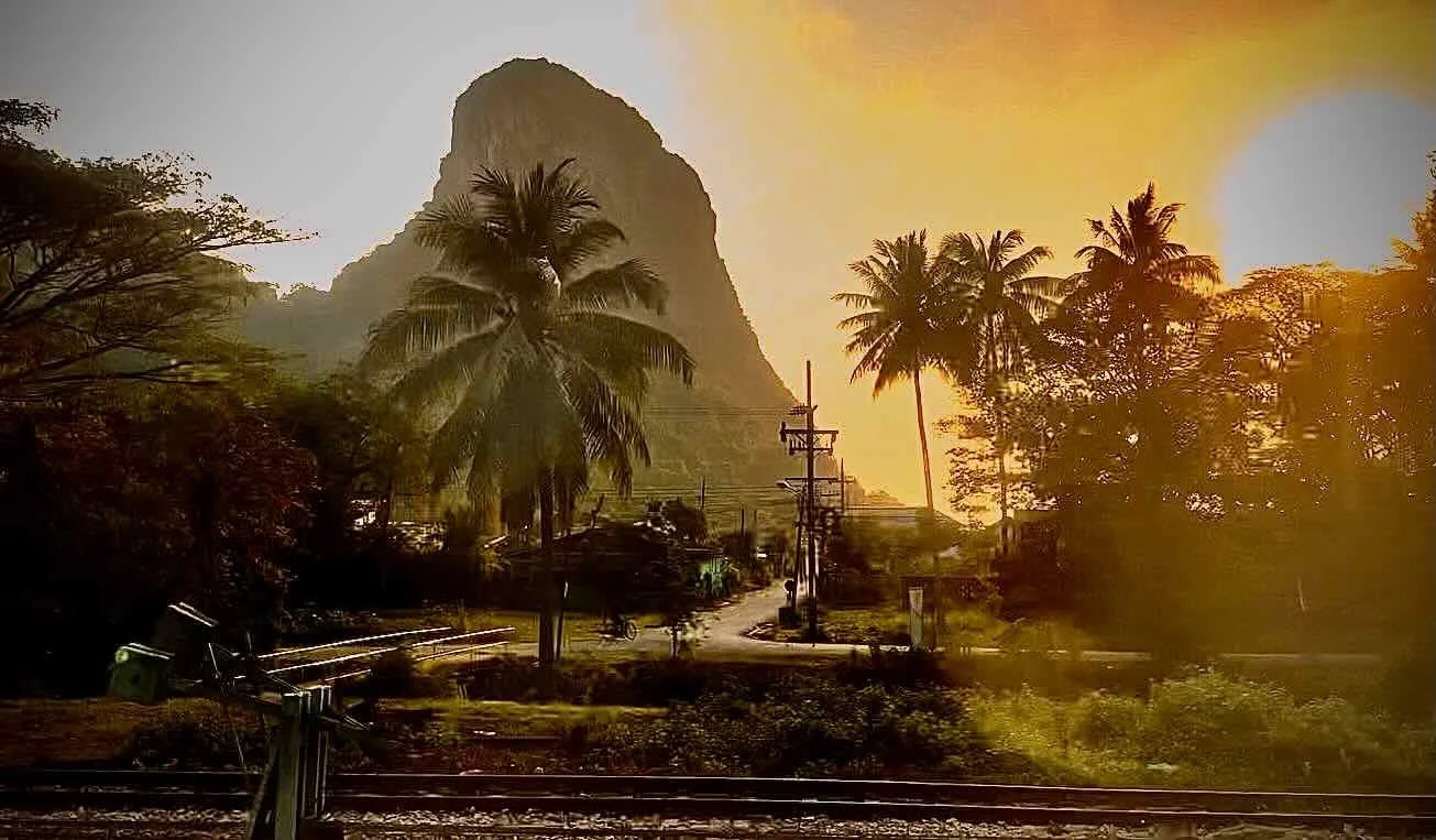 Jungle views at sunrise.