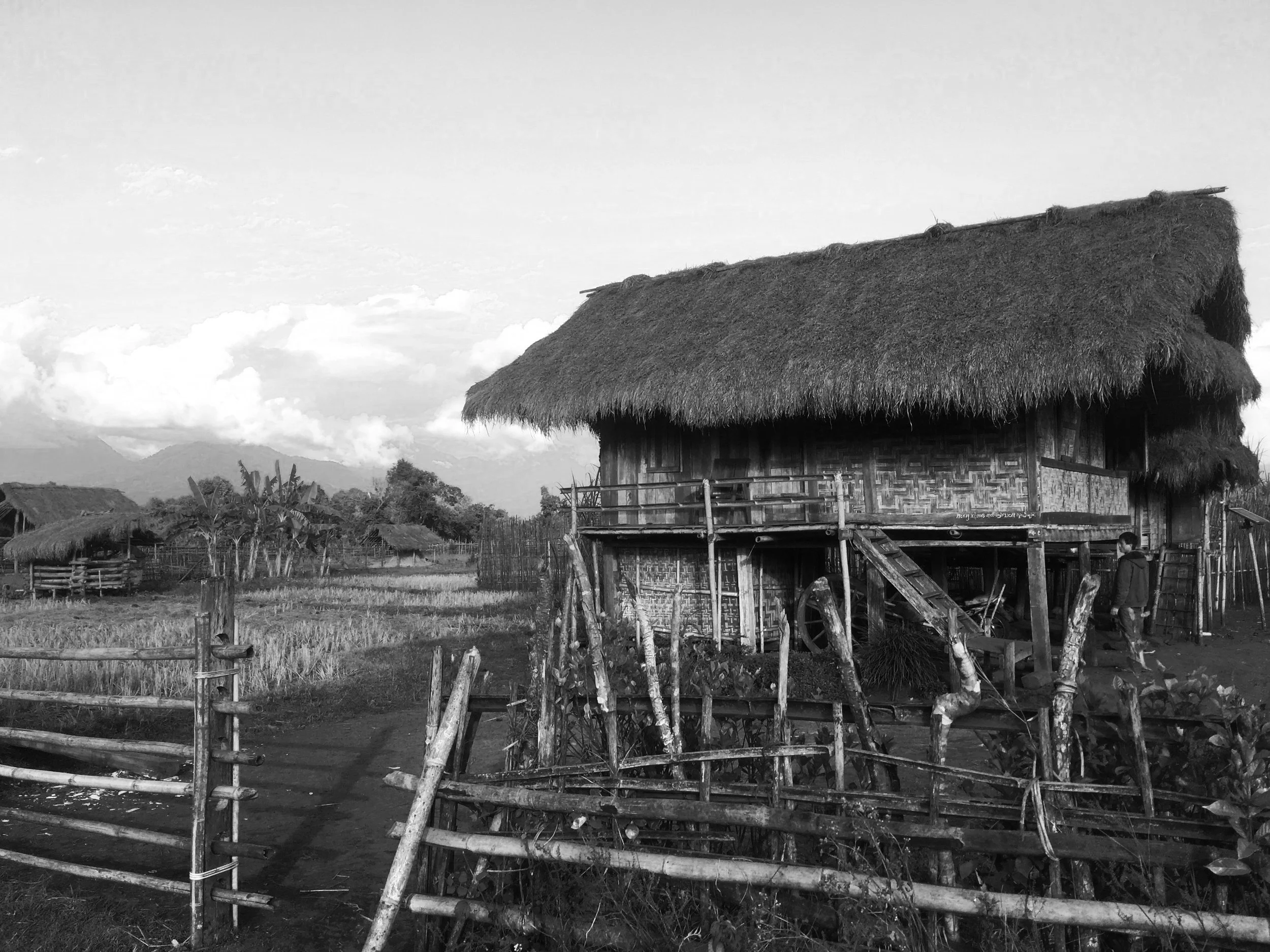 Thatched-roof village house on stilts.