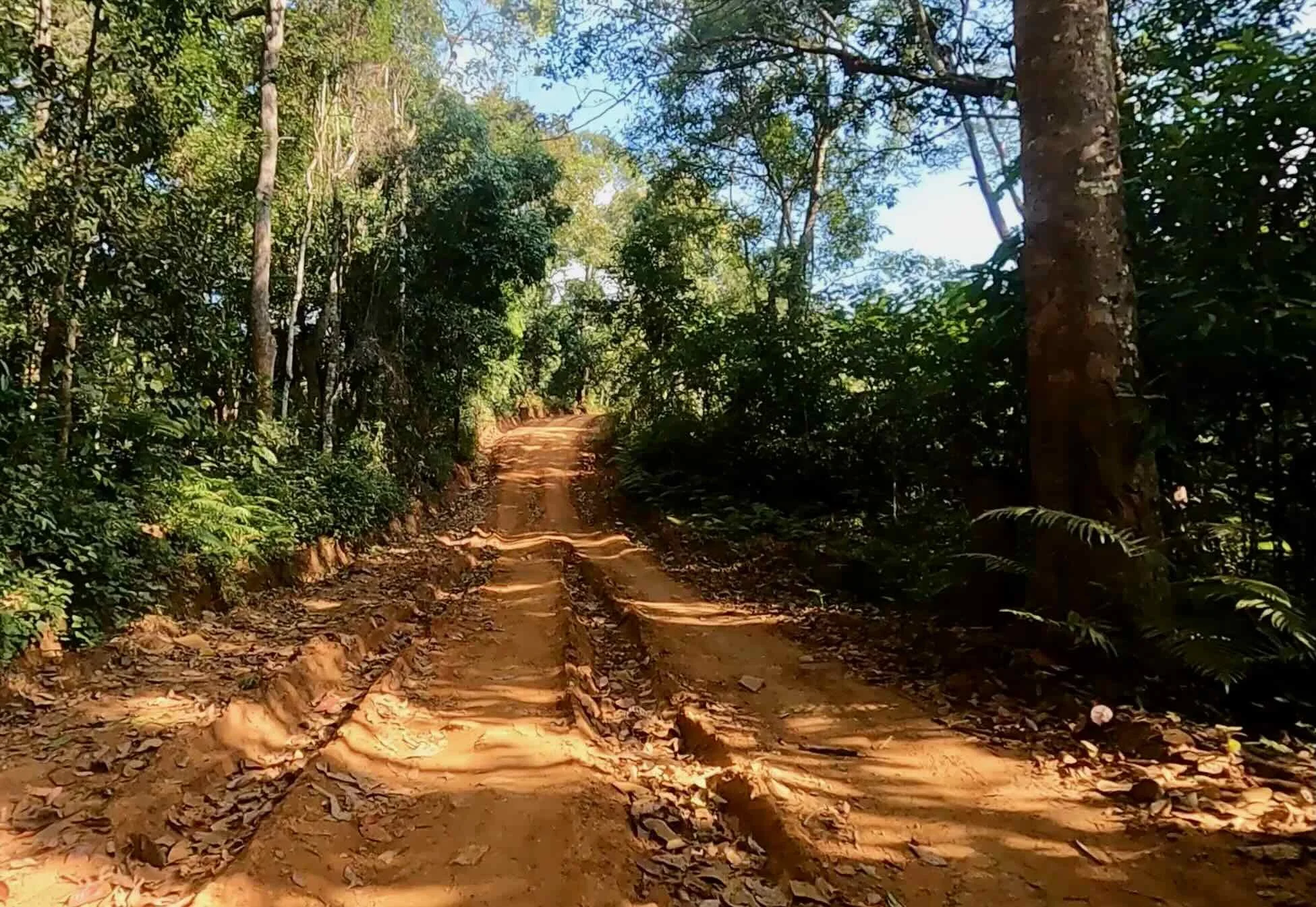 Dirt road turning into a riverbed.
