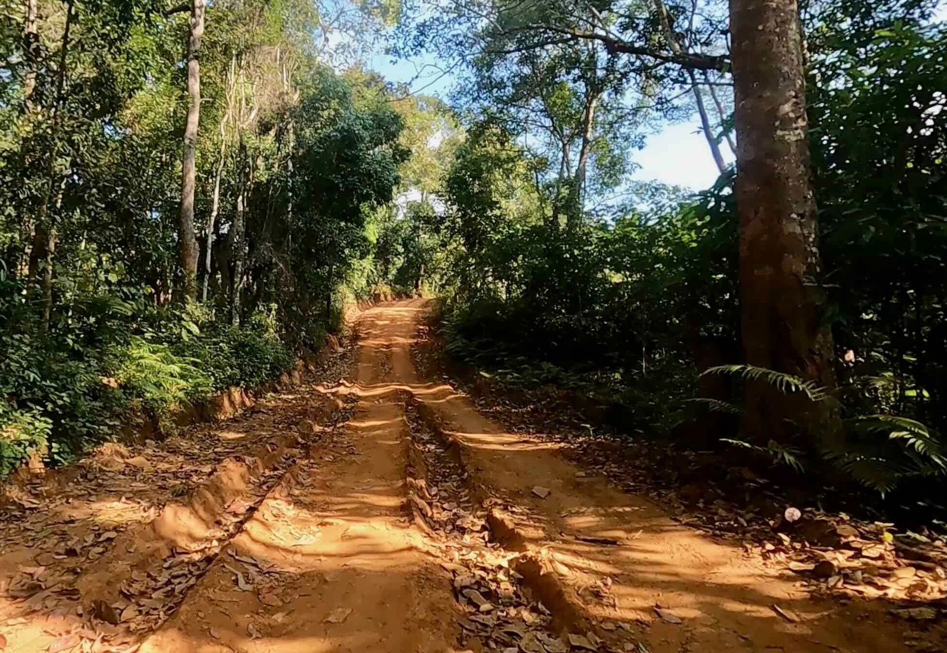Dirt road turning into a riverbed.