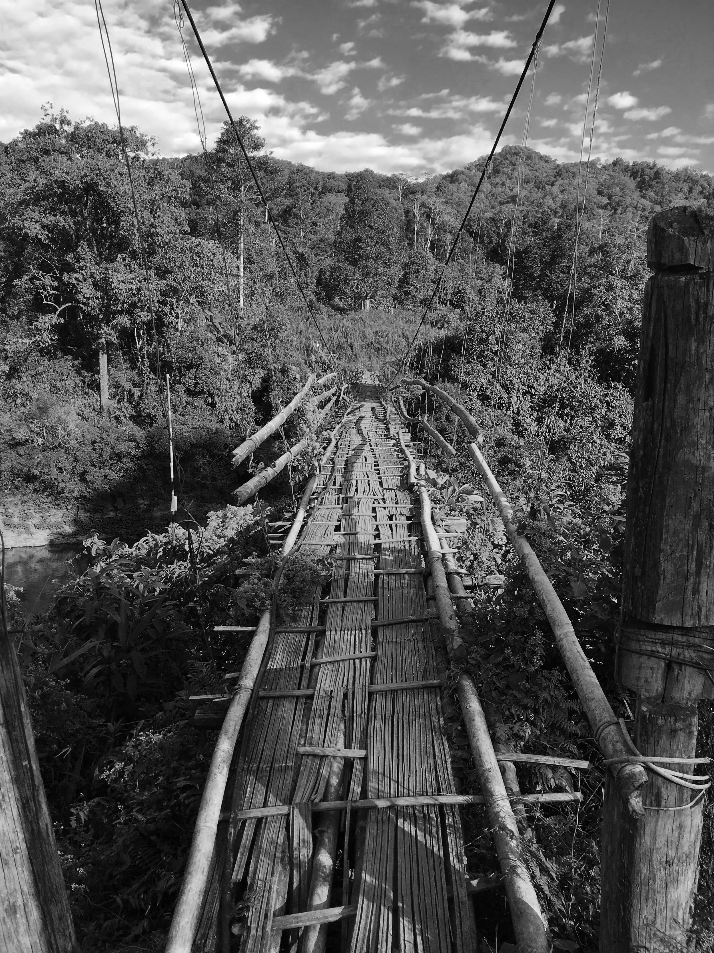 A very rickety bamboo bridge in the jungle.