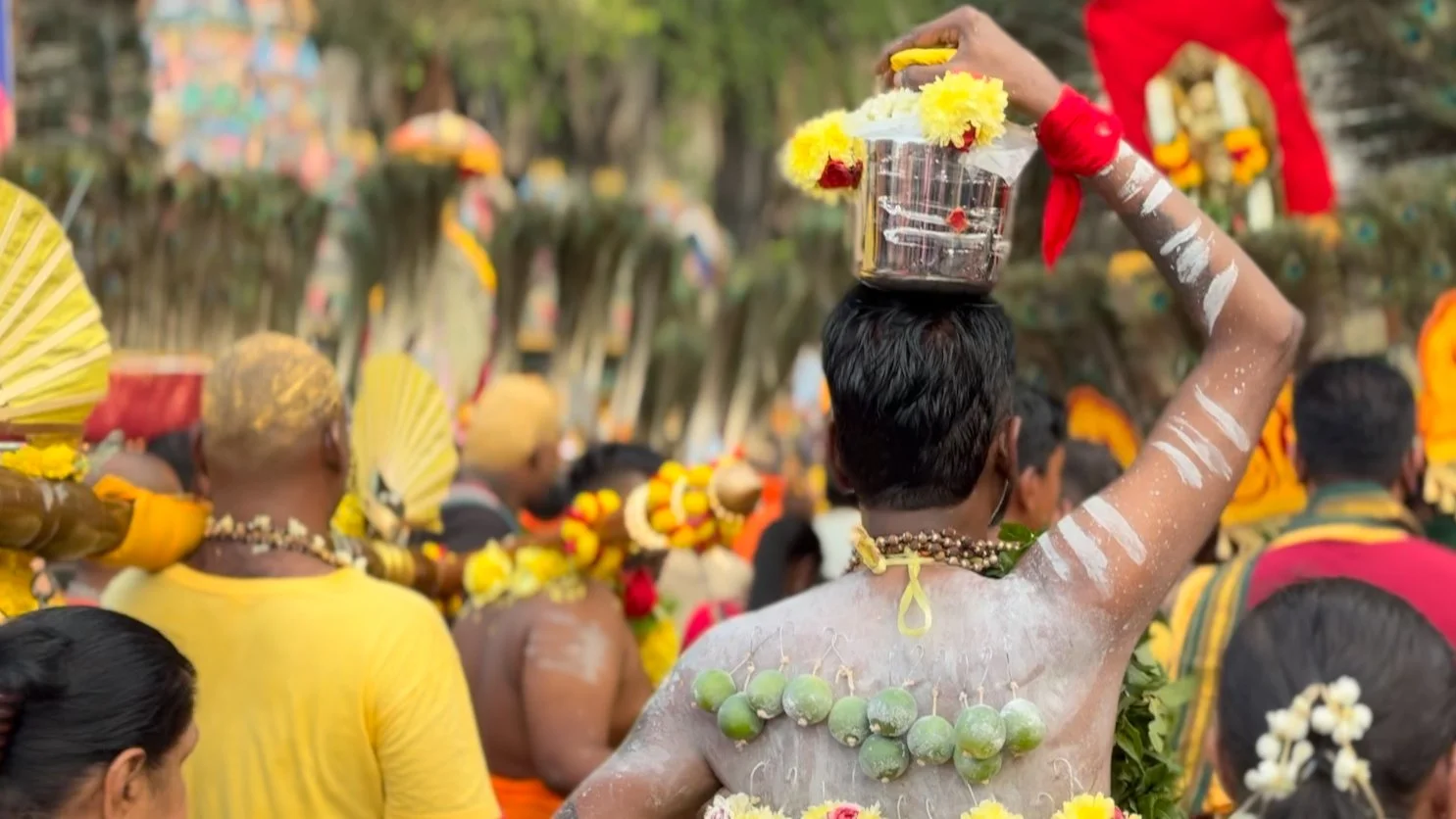A Thaipusam pilgrim with hooks piercing his back.