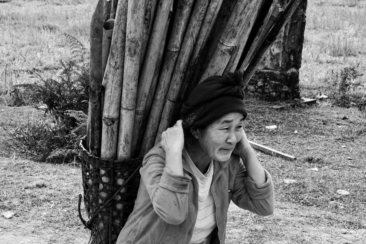 Local woman carrying a basket filled with bamboo on her back.