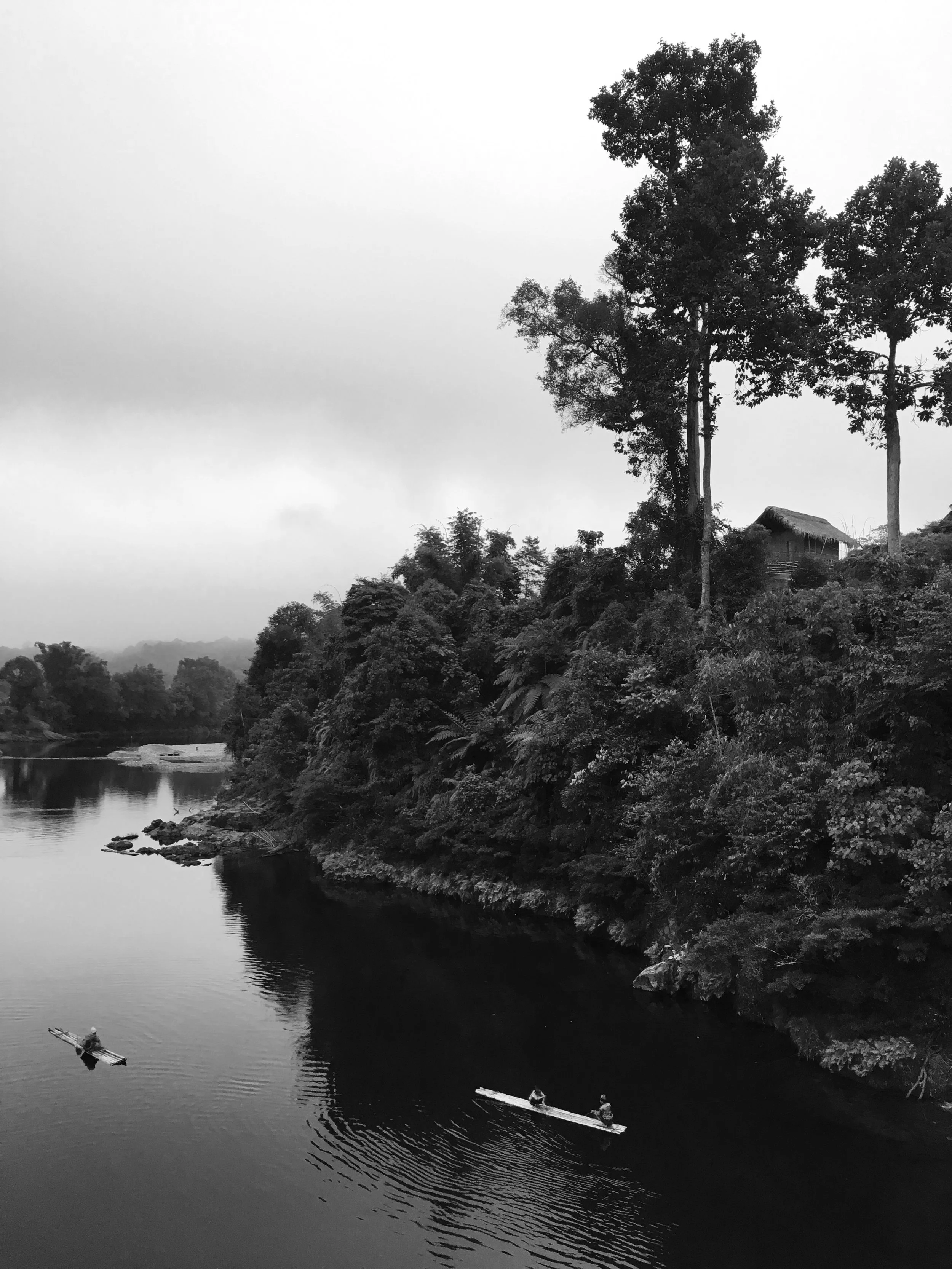 Small bamboo rafts on a river through the jungle.