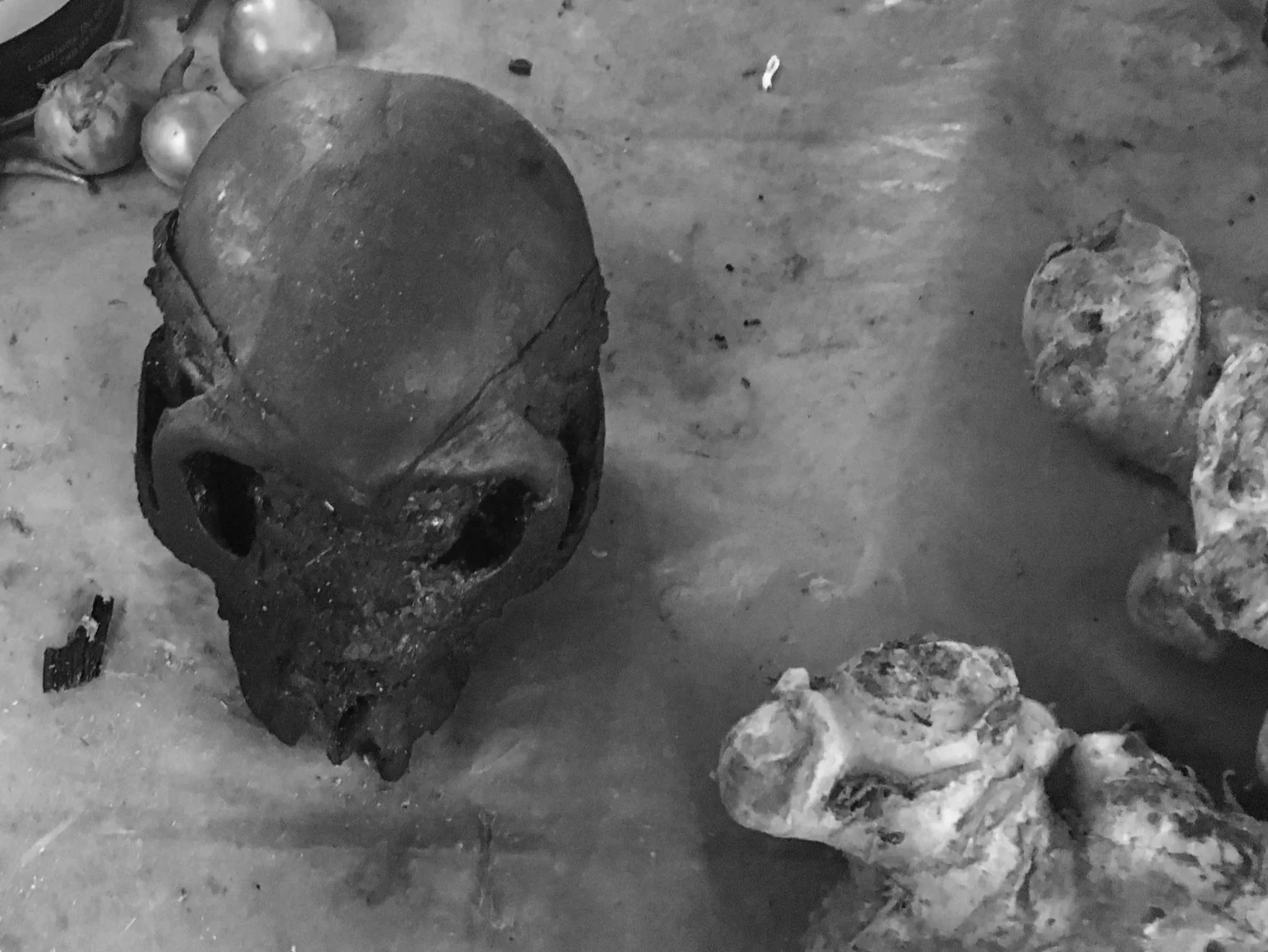 A gibbon skull in the market.