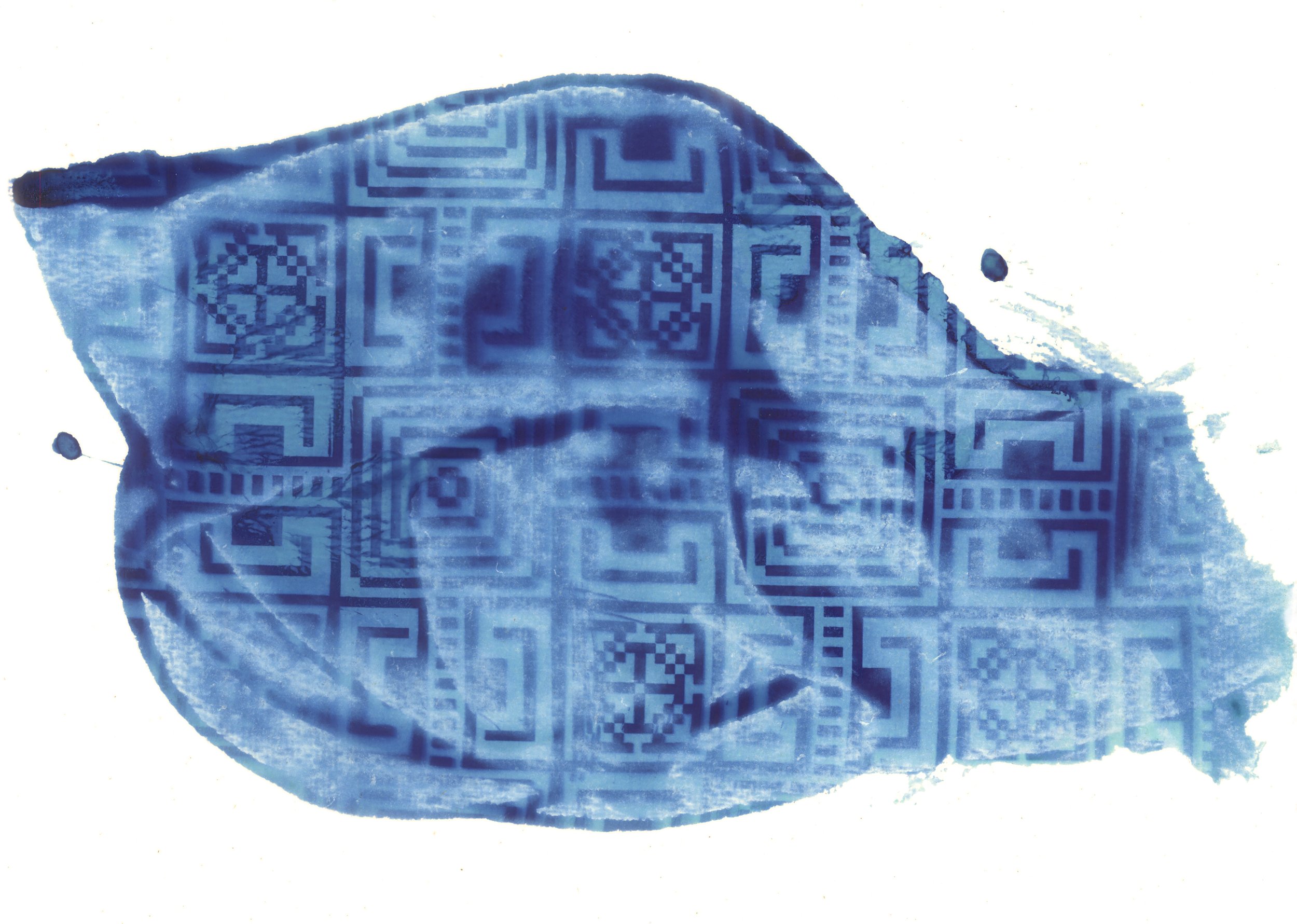 Cyanotype3_print.jpg