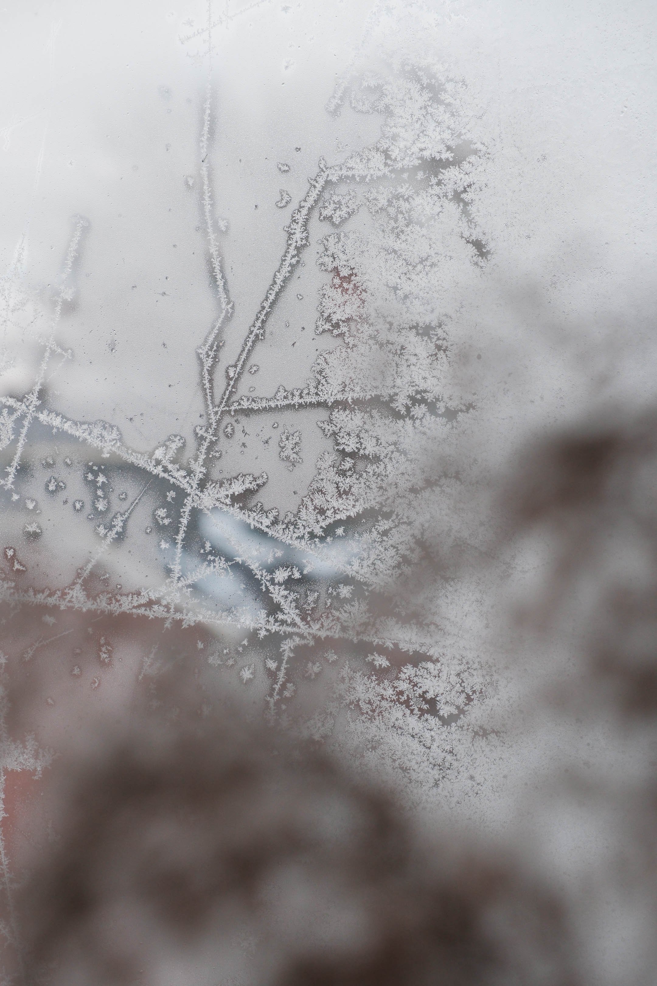 Canada_Noël 2025-236.jpg