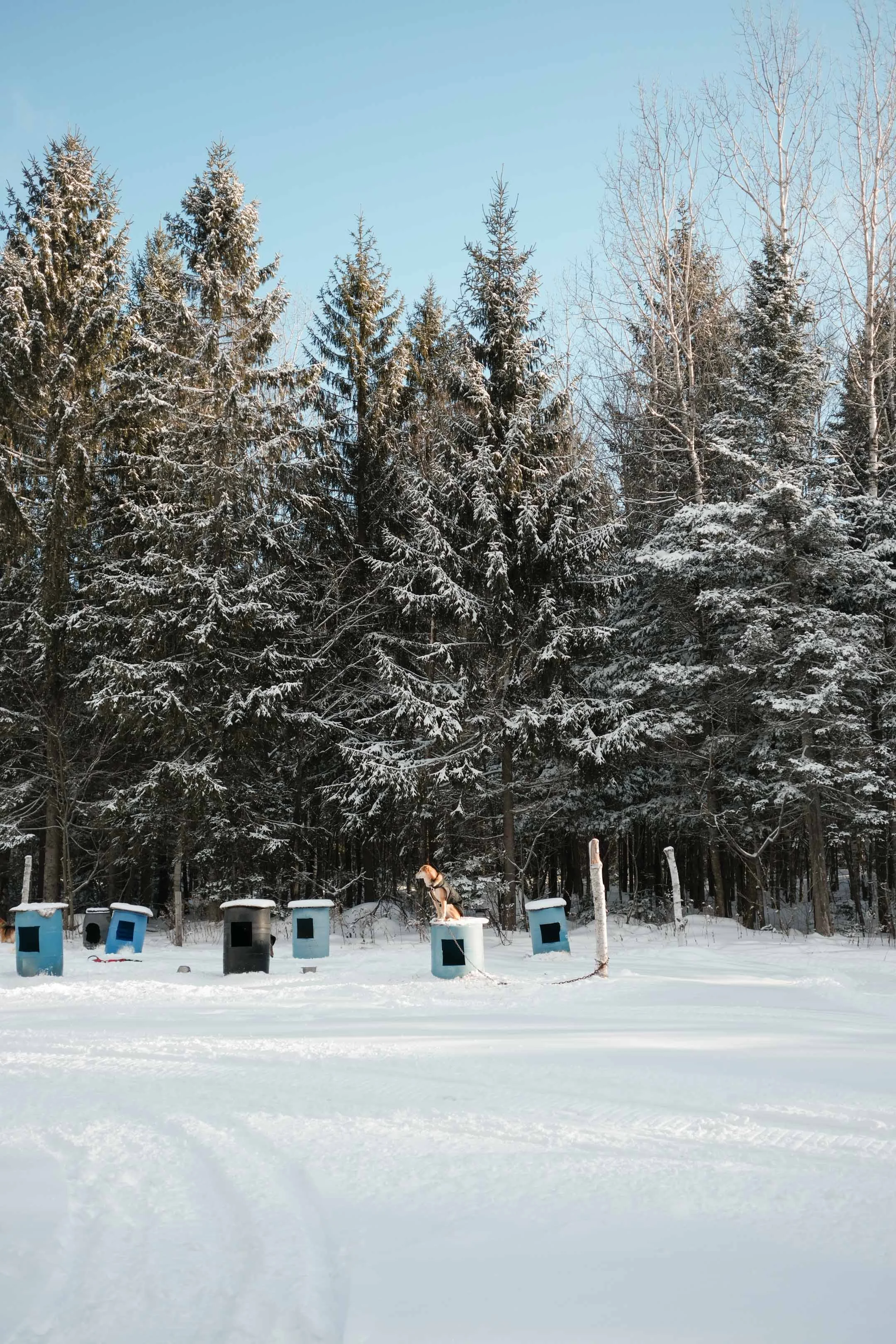 Canada_Noël 2025-81.jpg