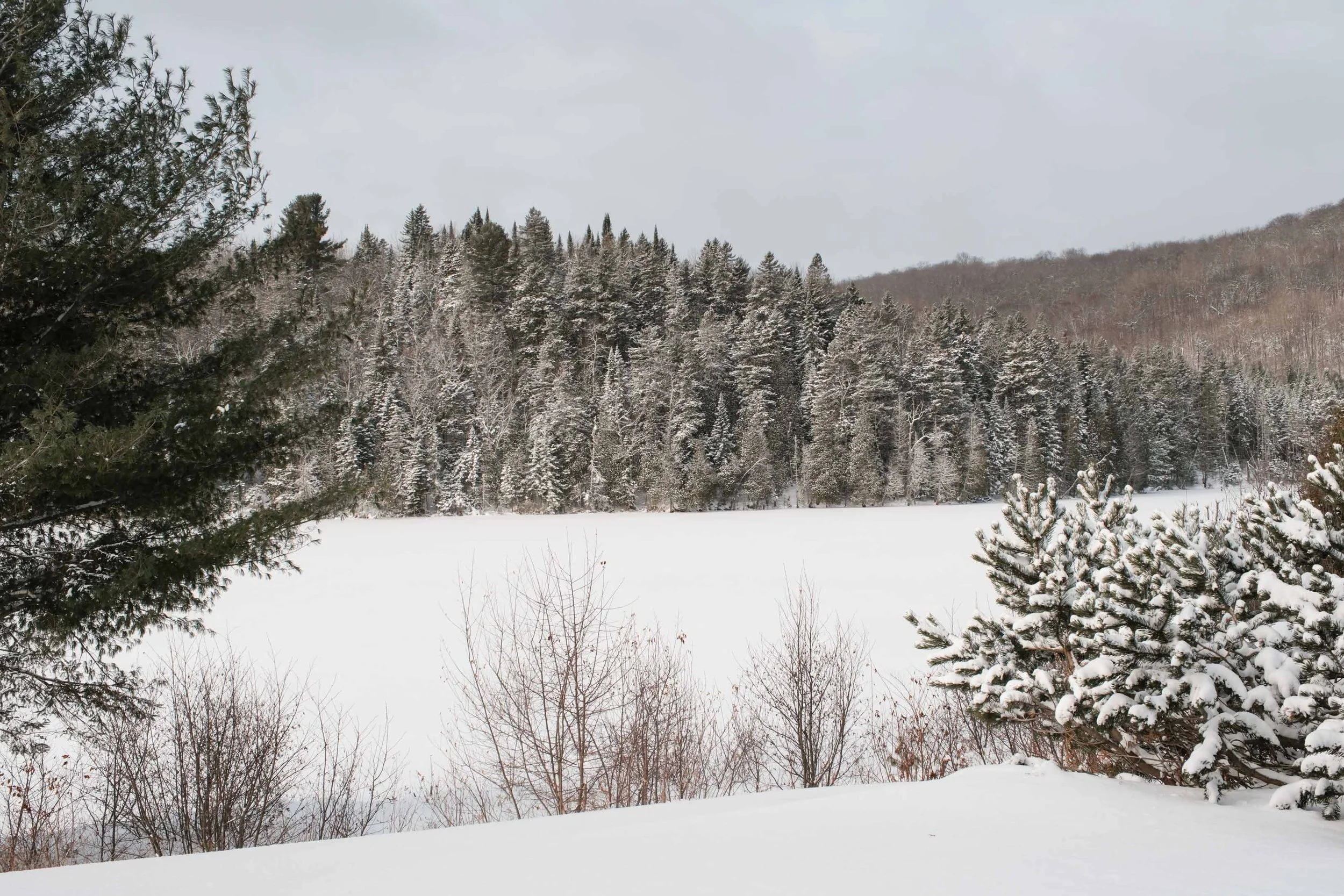 Canada_Noël 2025-115.jpg