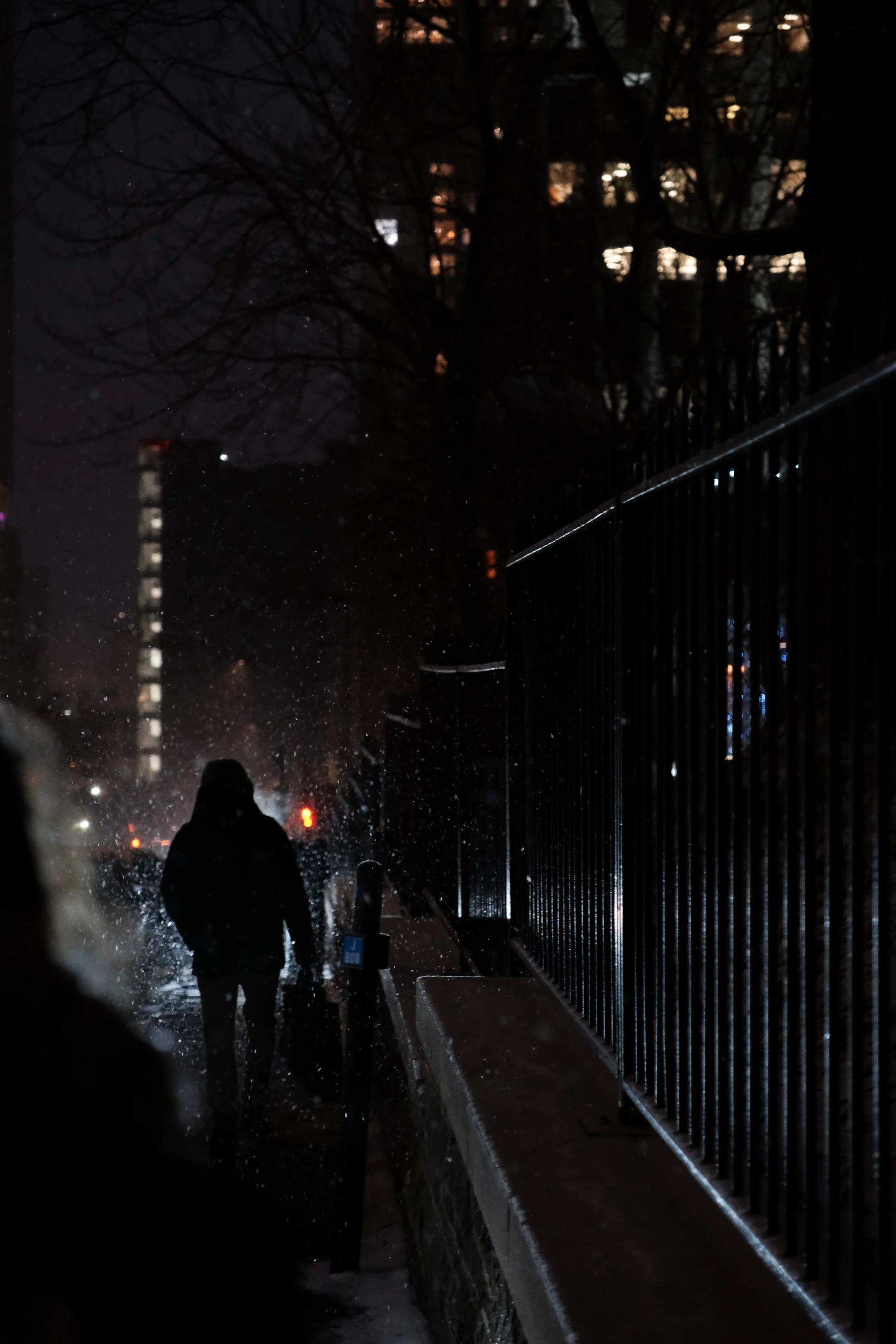 Canada_Noël 2025-61.jpg