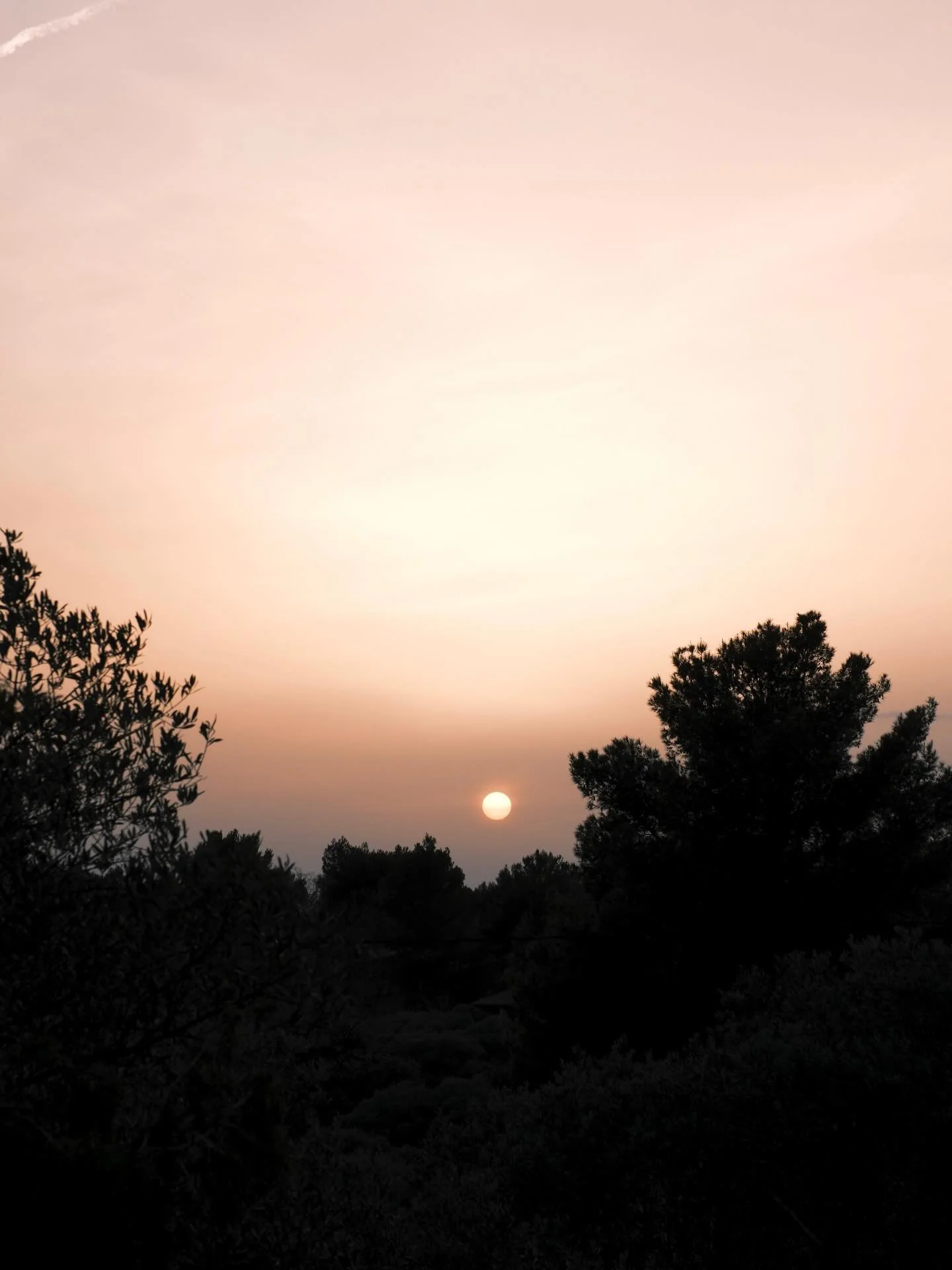 Fin d&rsquo;hiver dans le Luberon, avant le changement d&rsquo;heure. Cette lumi&egrave;re, ces couleurs, on ne peut pas les inventer, il n&rsquo;y a que la nature pour nous les offrir. Il suffit juste de regarder.

#provence #luberon #lumiere